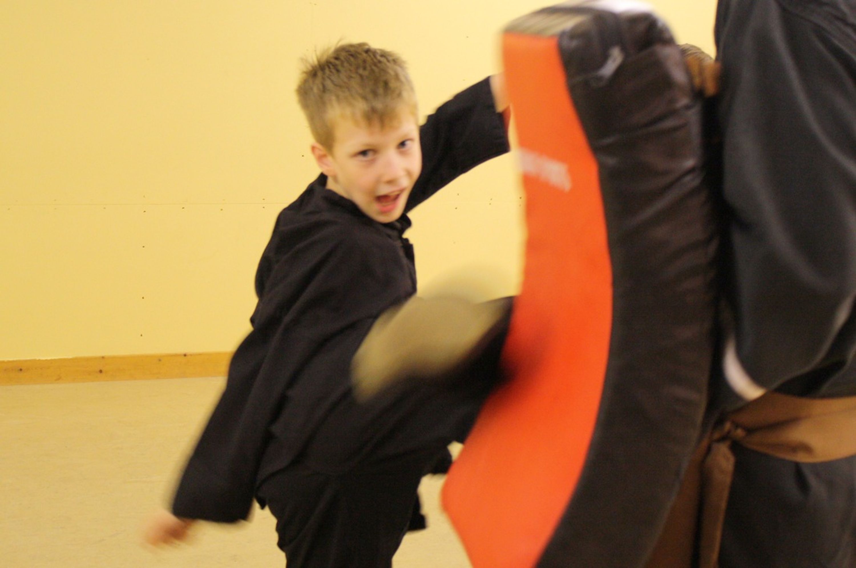 Oriental Martial Arts Society