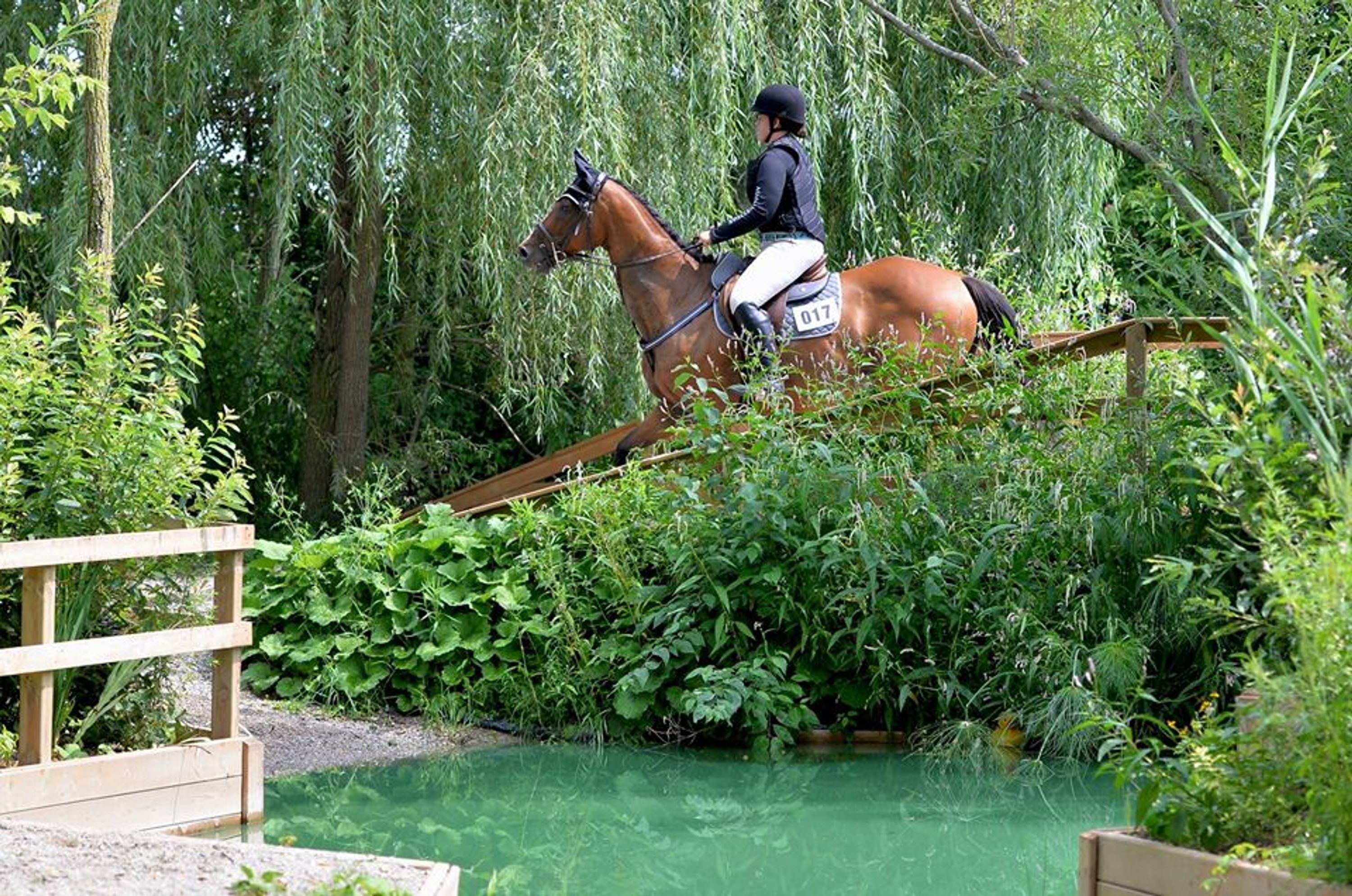 FOXCROFT EQUESTRIAN COMBINED TRAINING and DRESSAGE #1