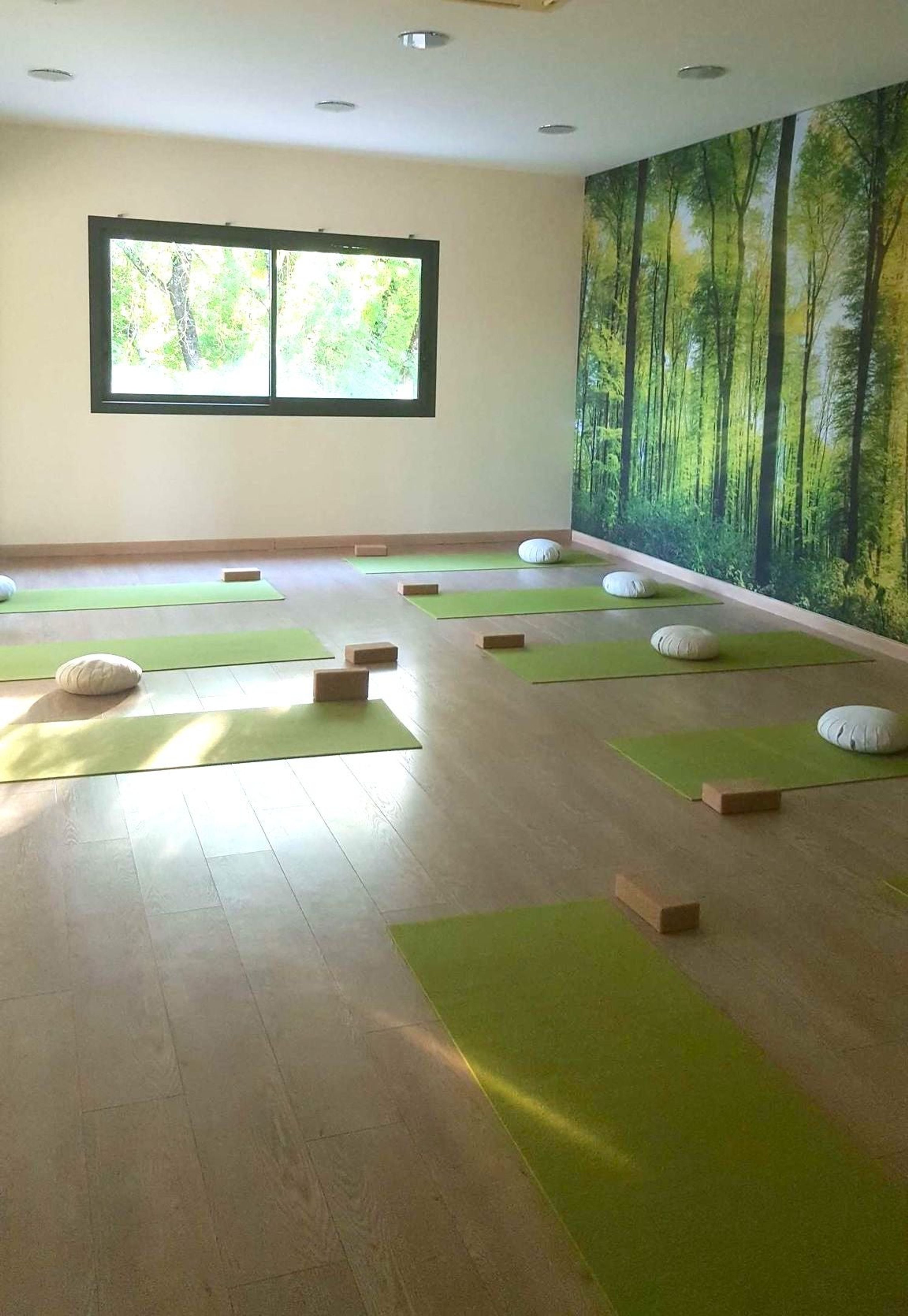 Shanti Yoga Lounge