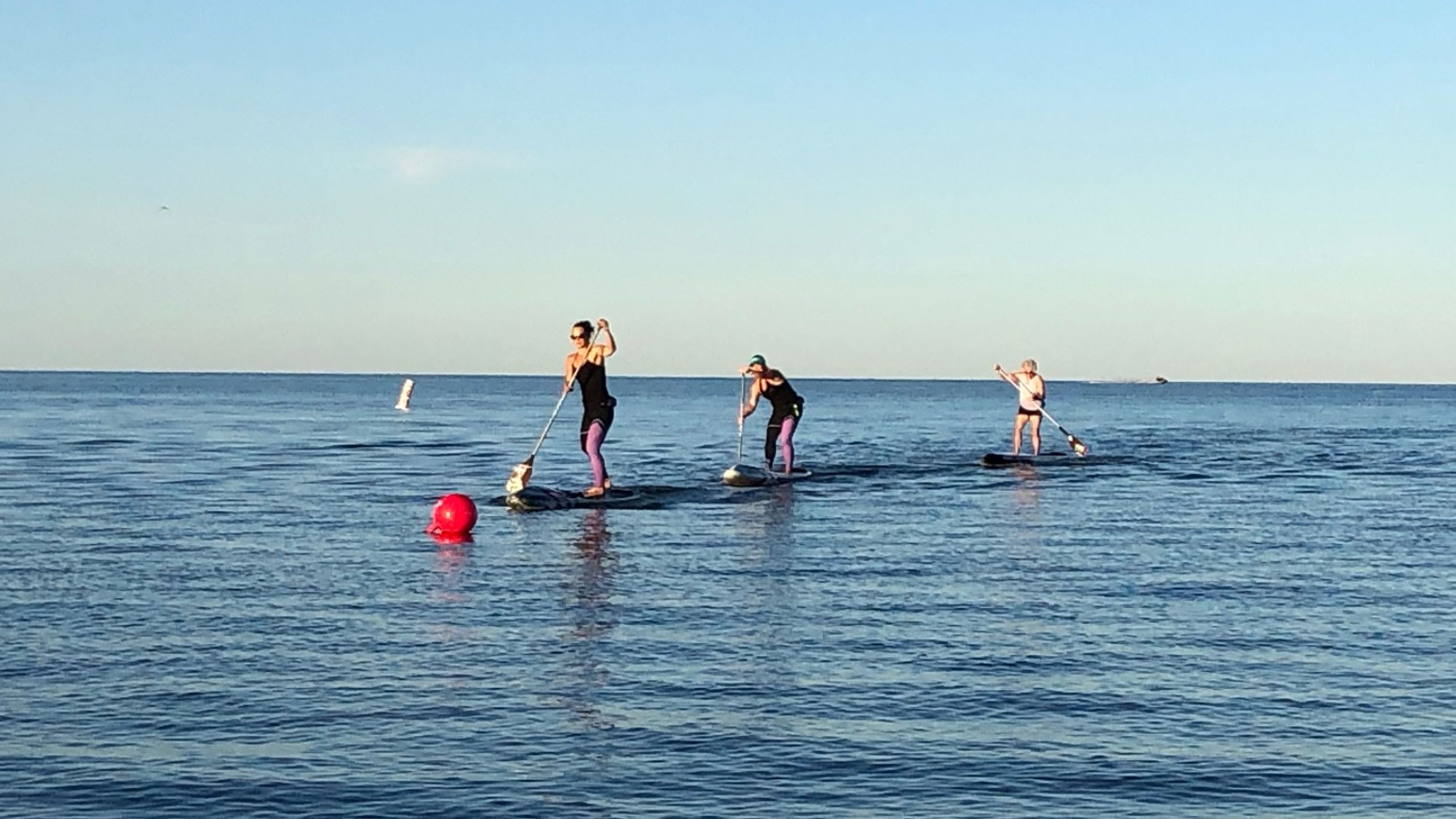 PaddleFit Core Certification