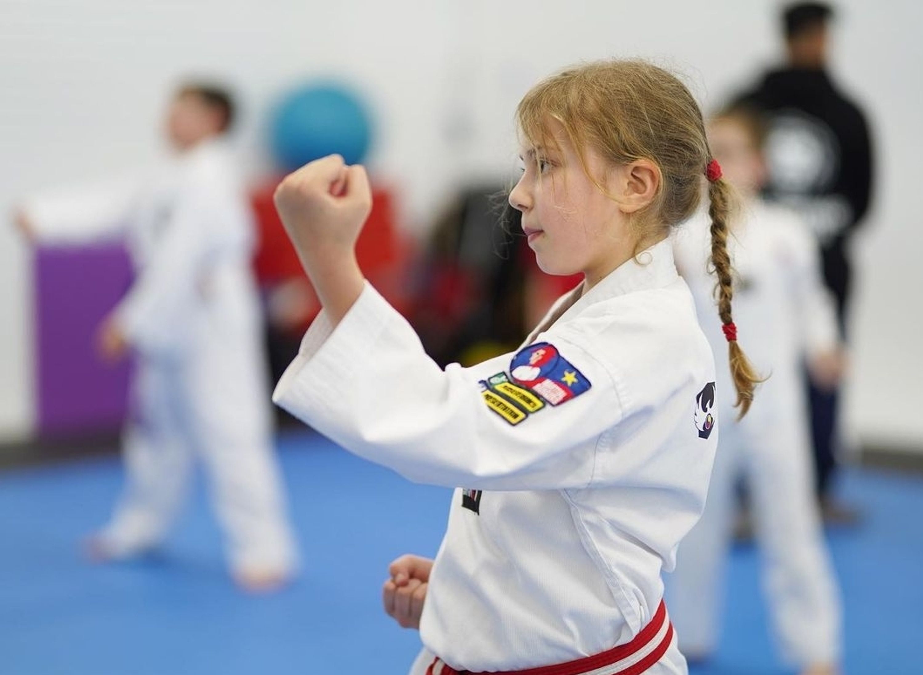 Martial Arts Spirit