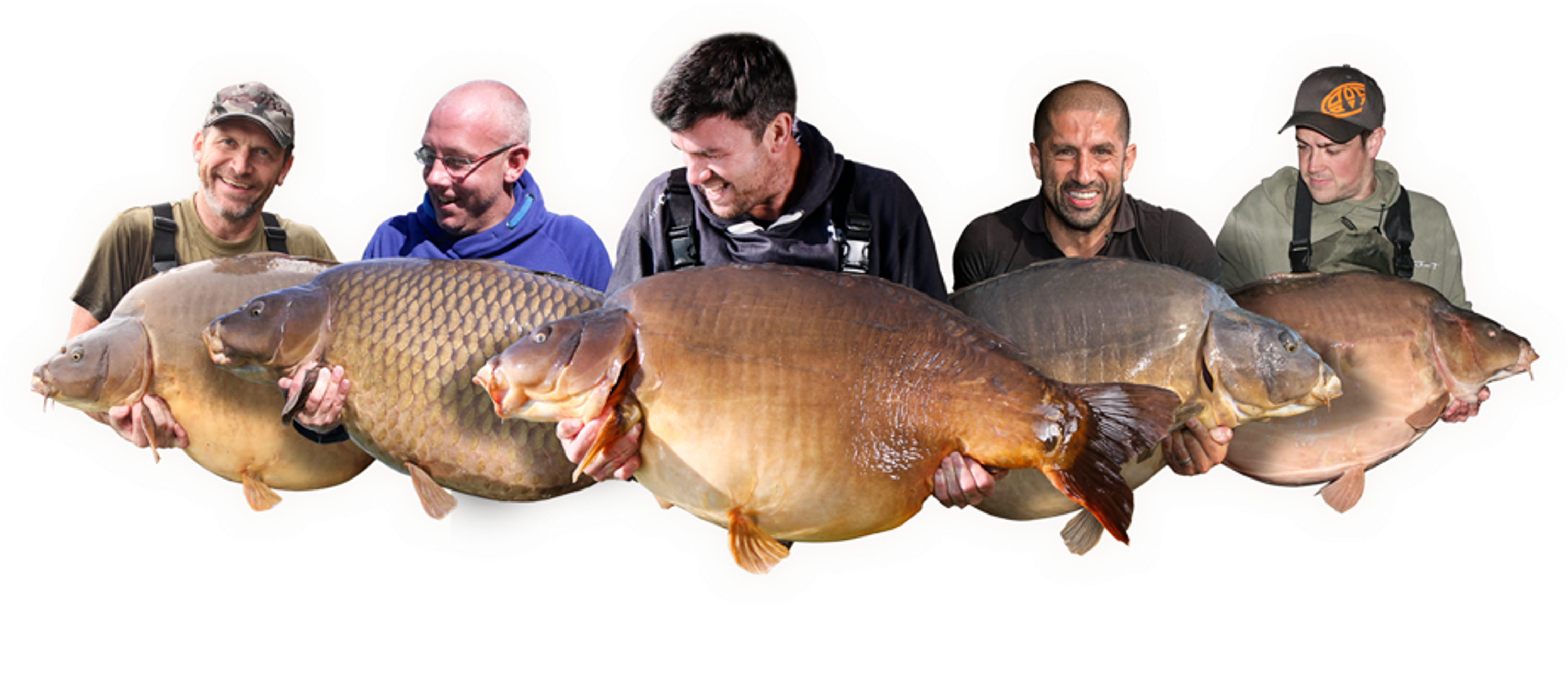 Gigantica