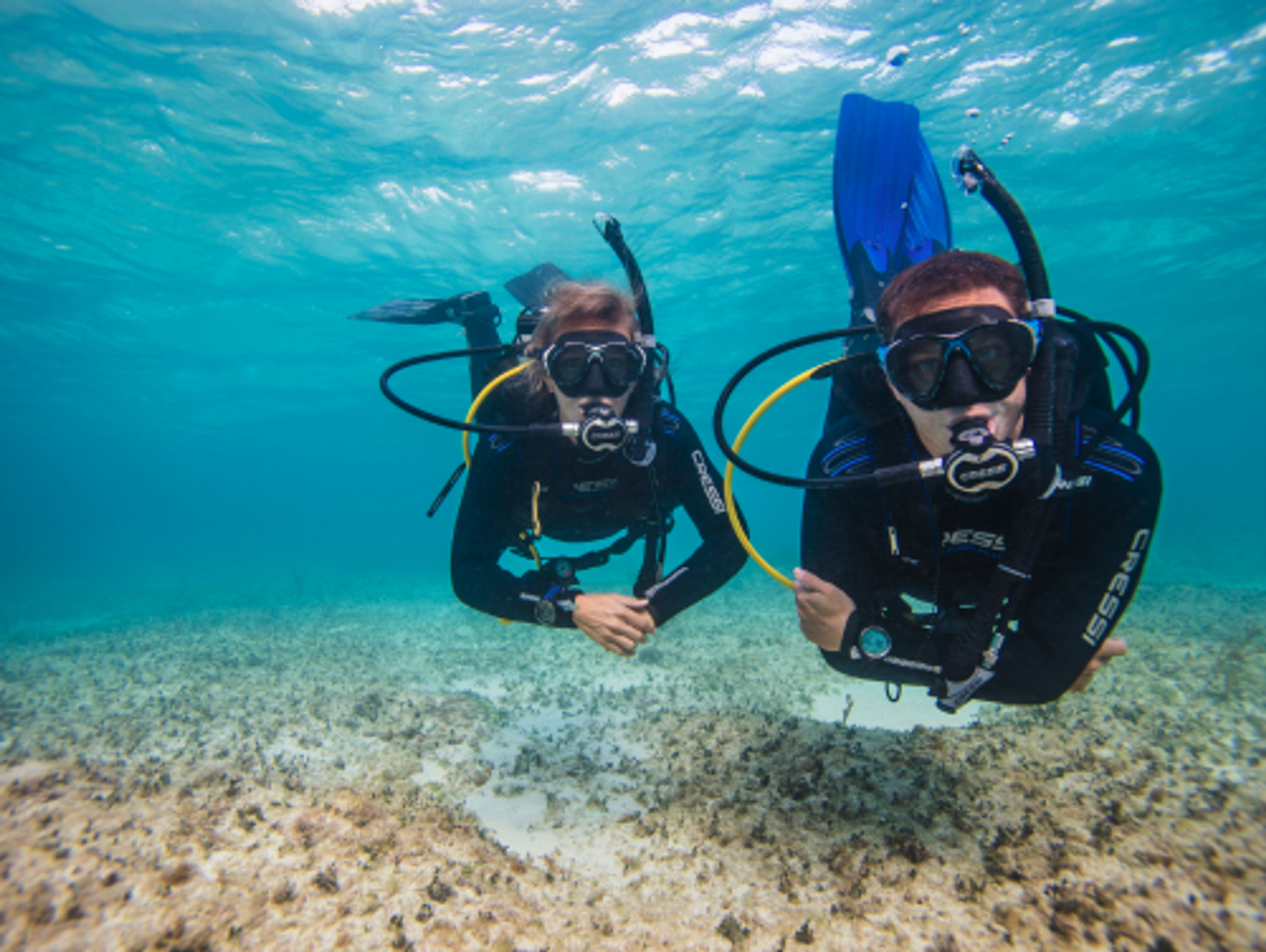 Open Water Diver
