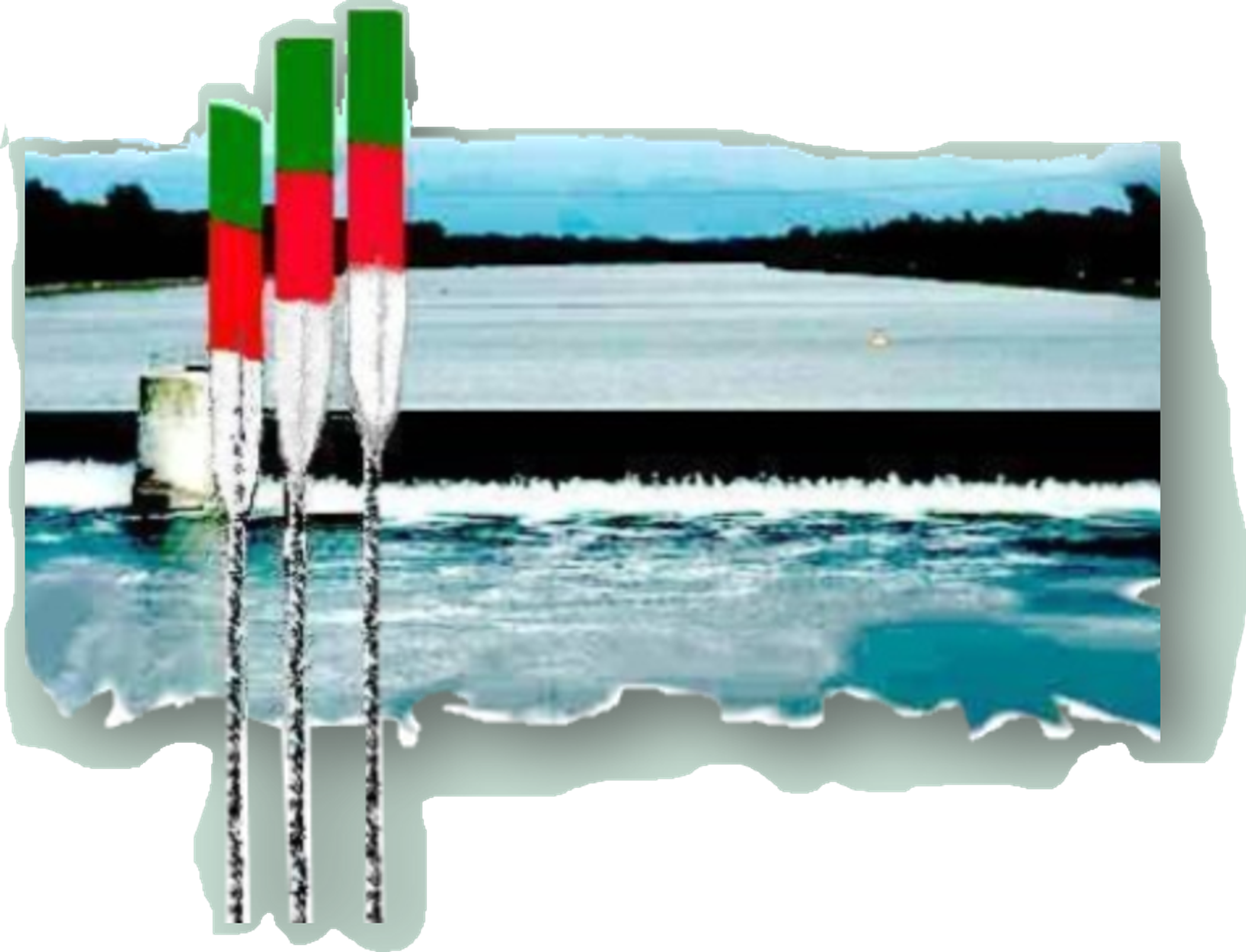 Aviron Club Région Colmar