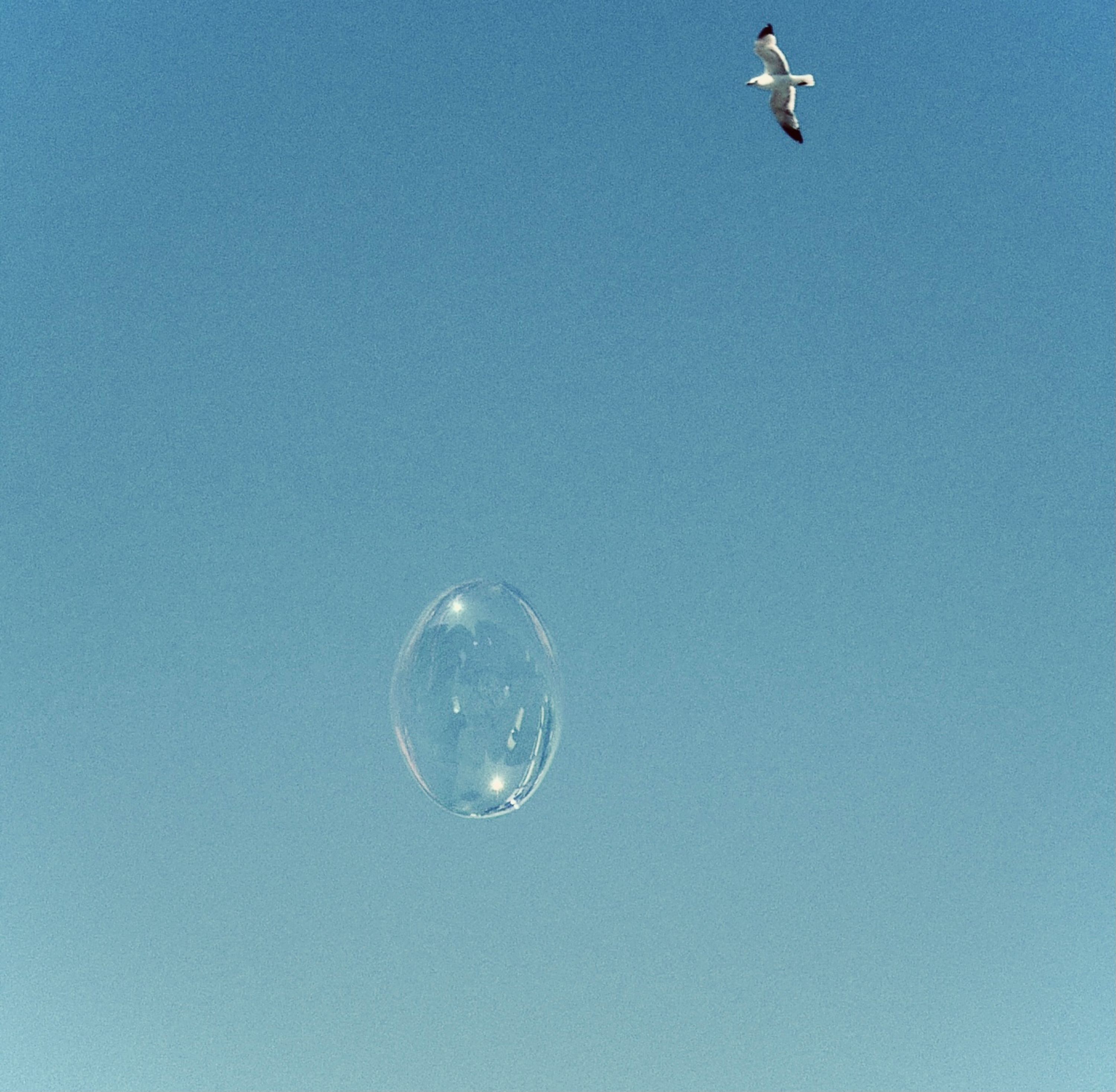 Comme Dans Ta Bulle