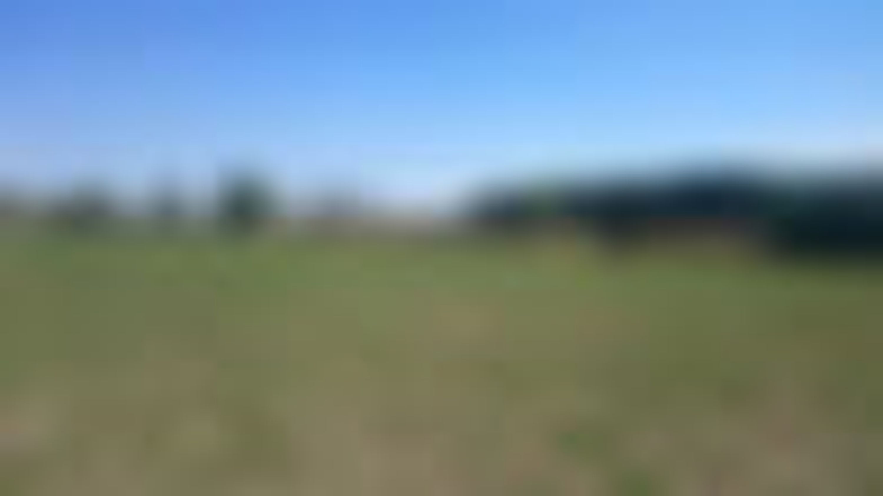 Equestrian Center La Lisière