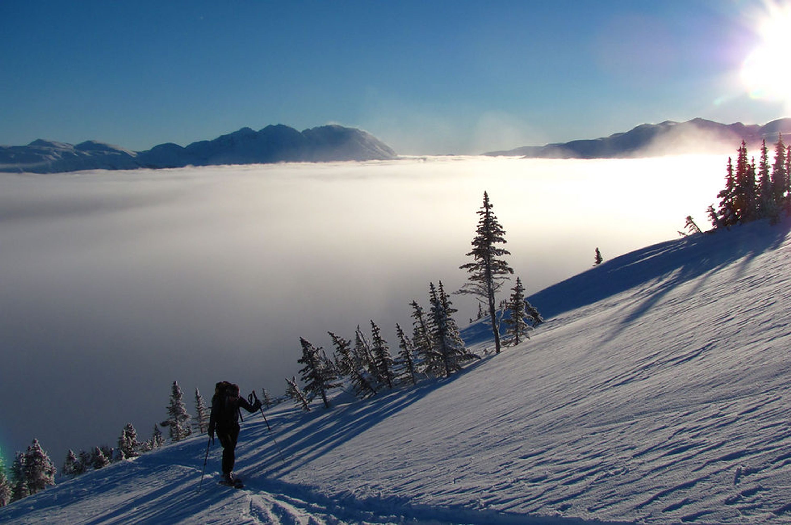 Avalanche Safety