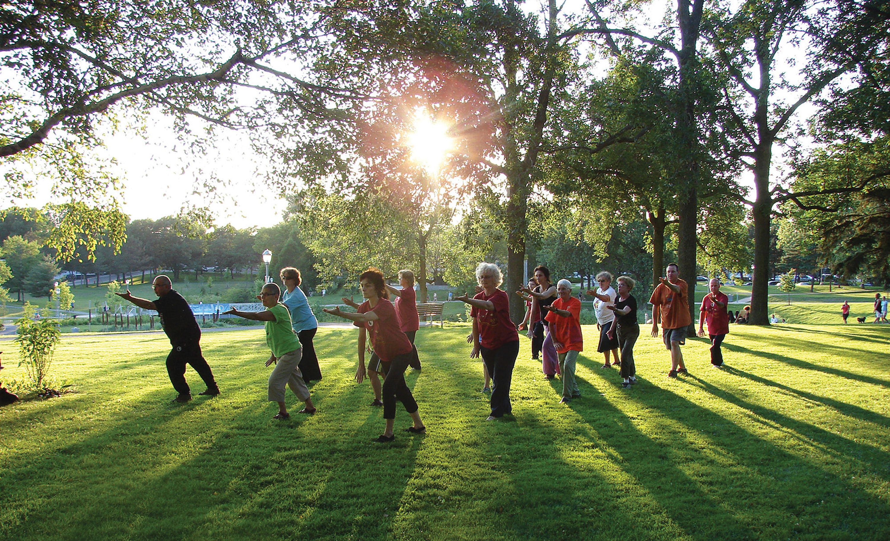 Institut de taosme Fung Loy Kok - Tai Chi Taoste - Blainville