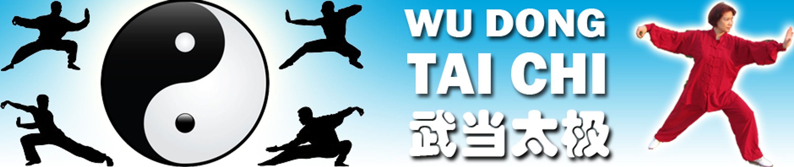 Wu Dang Tai Chi