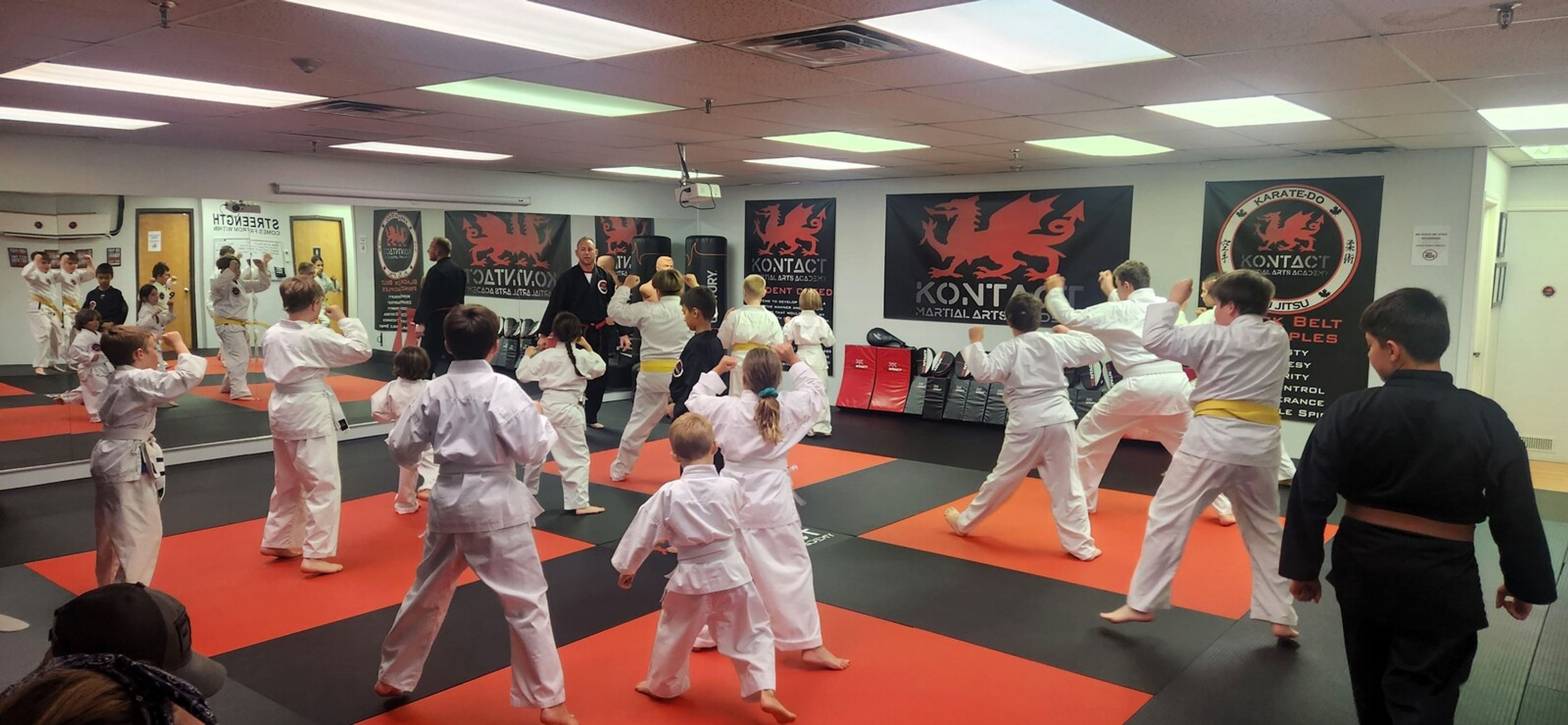Karate and Jiu-Jitsu Class