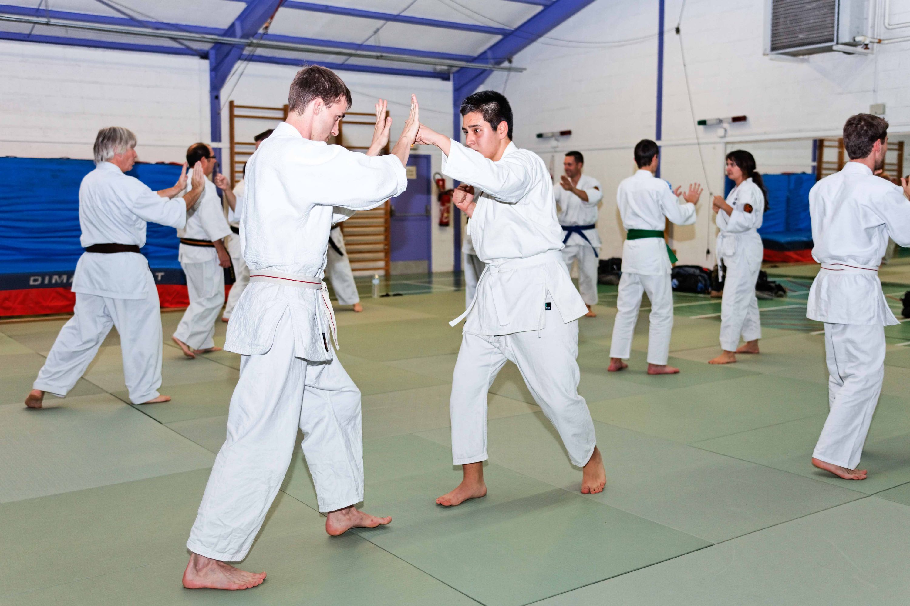 Ascb Self Défense - Nihon Tai Jitsu