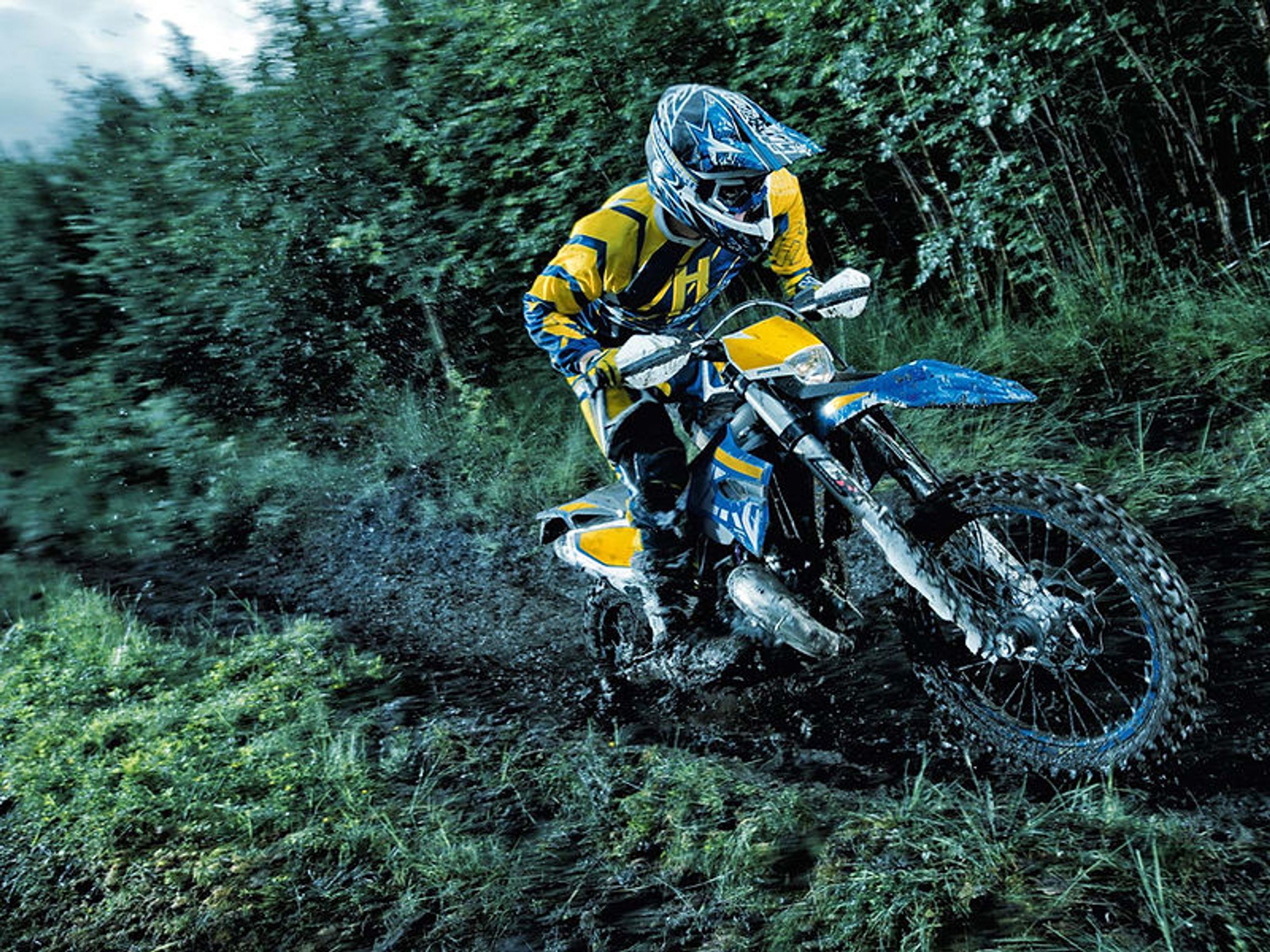 SAWMILL RALLY 2024
