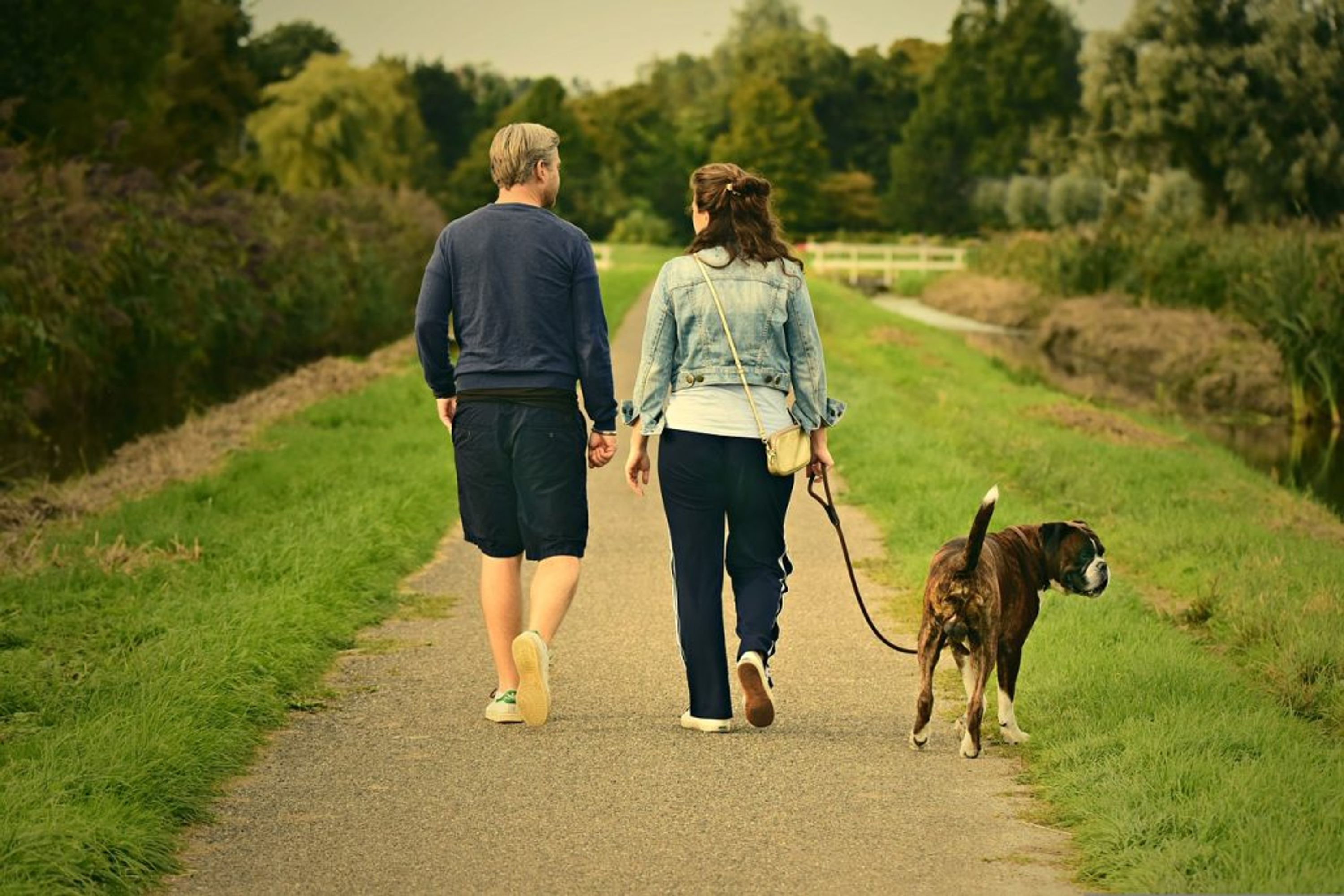 Comportementaliste Chien, Chat, Cheval Saumur