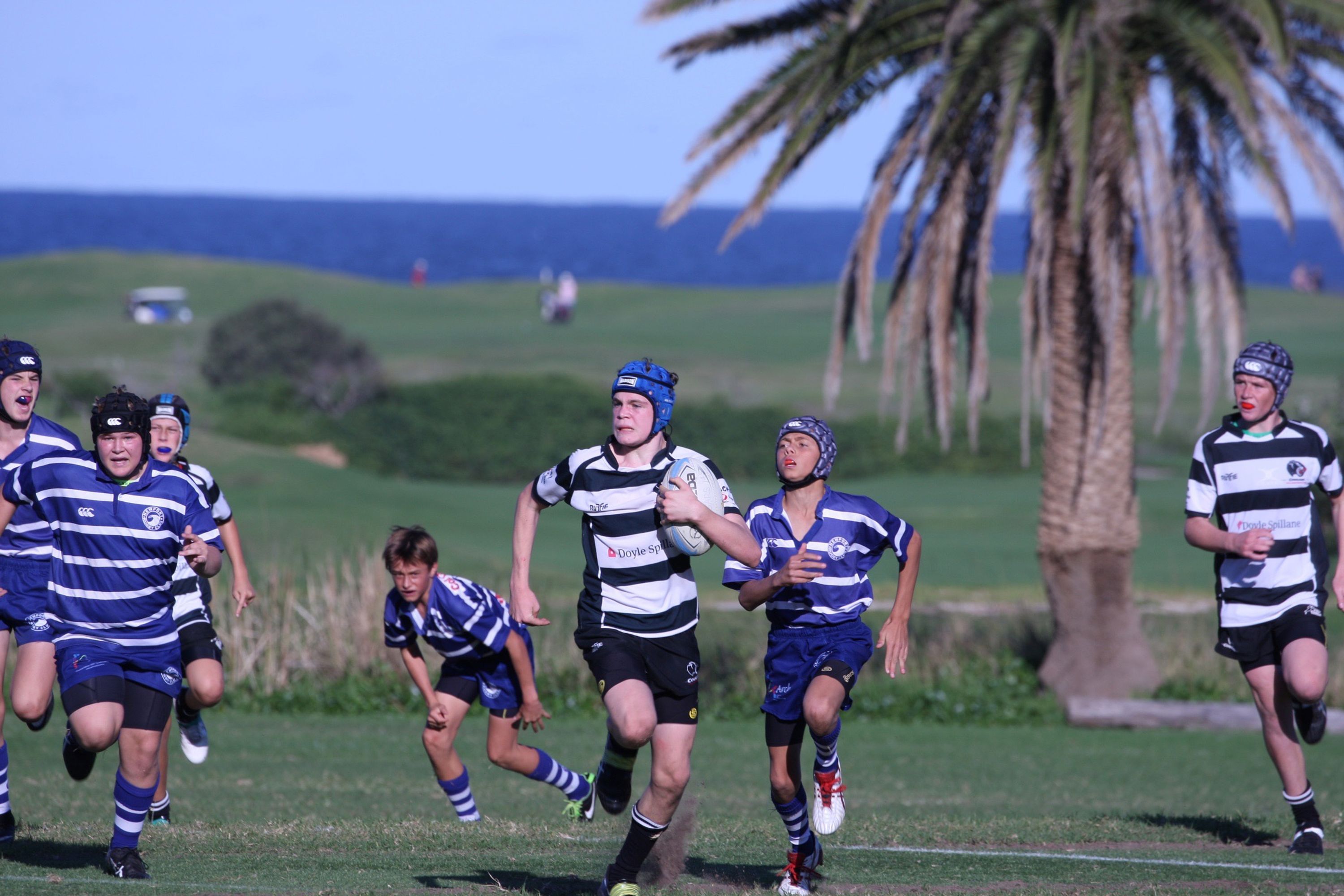 Juniors Collaroy Cougars Junior Rugby