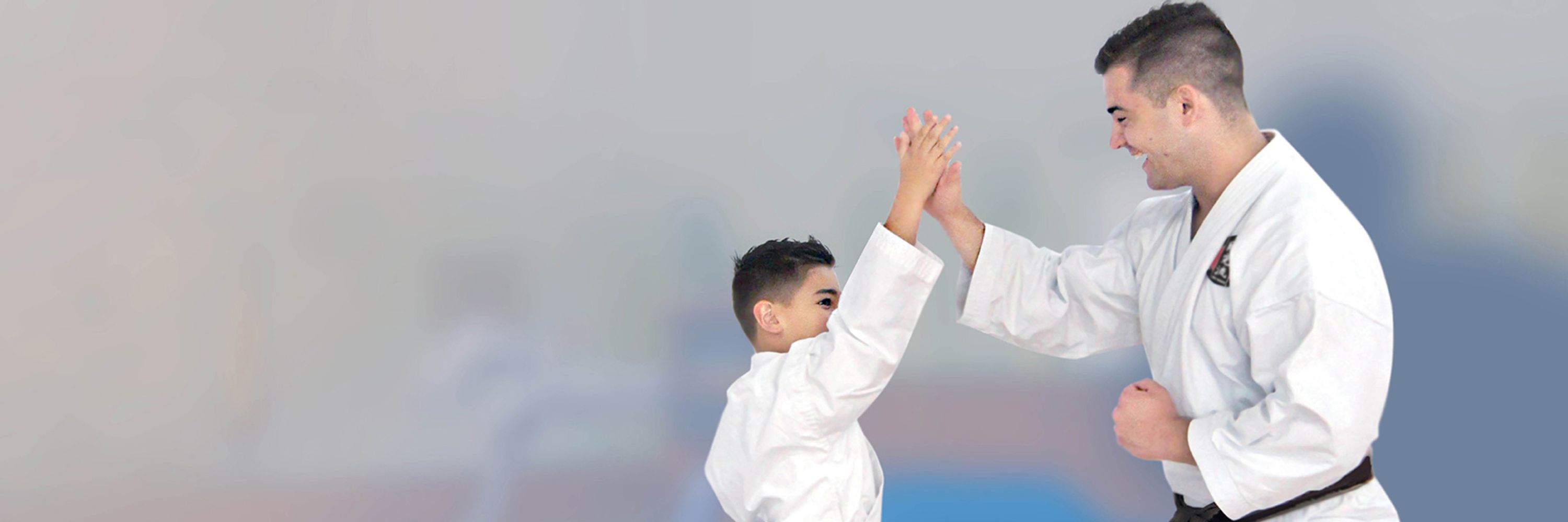 GKR Karate Aberfoyle Park Campus Drive
