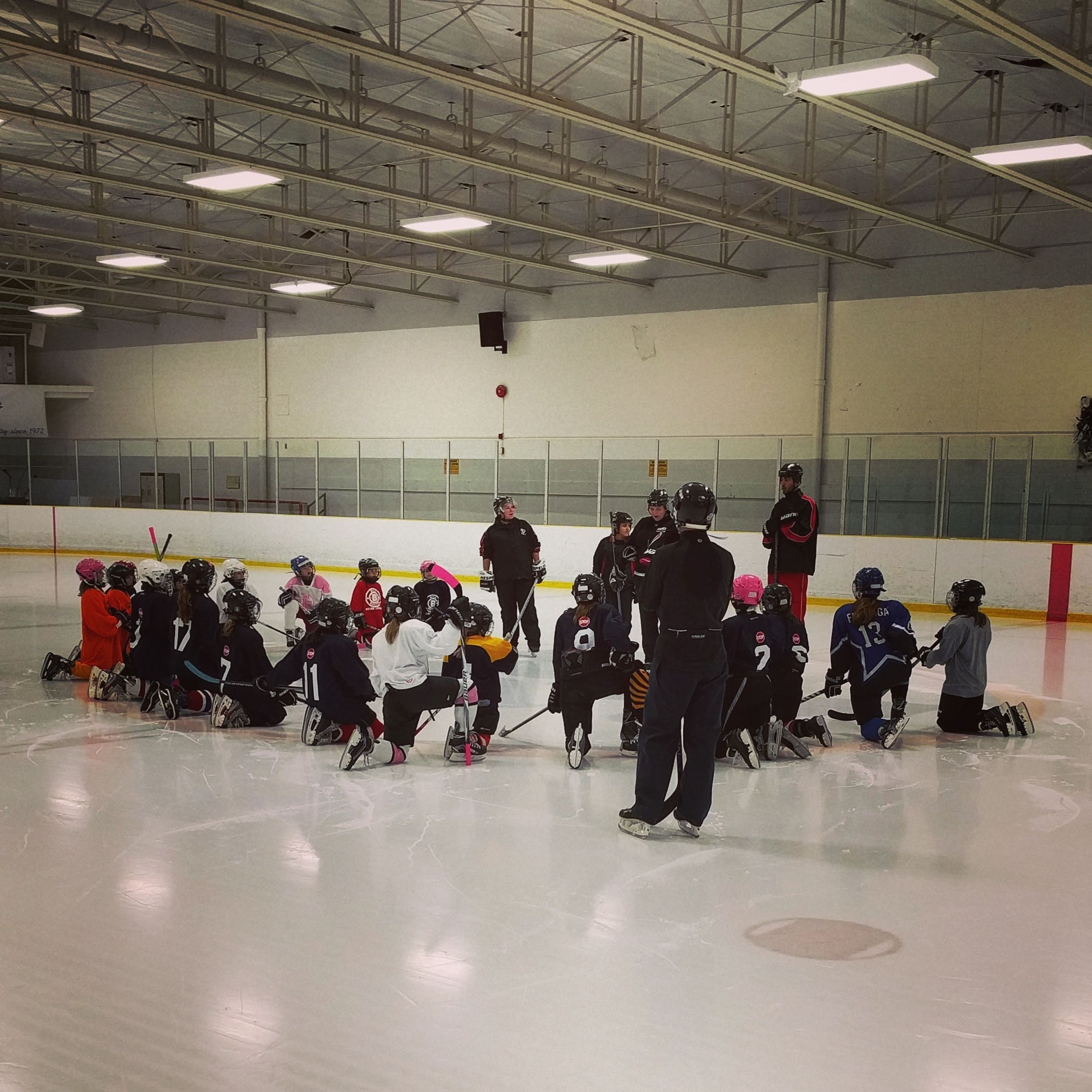 Bill Bolton Arena