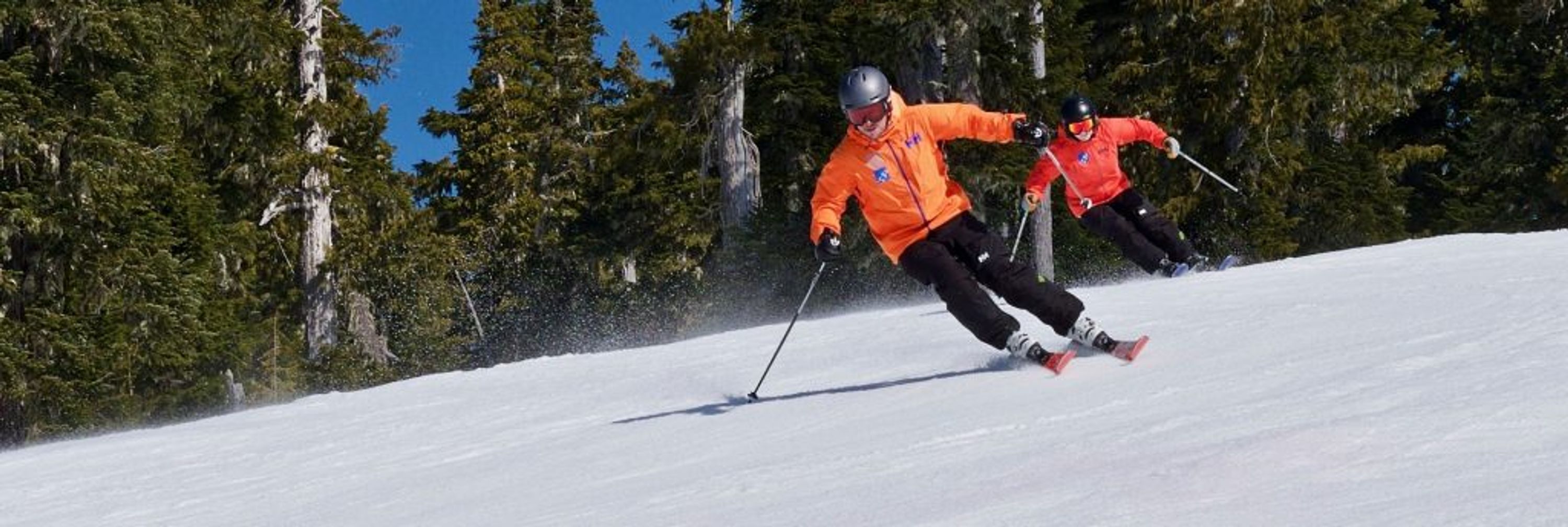 Section 8 Snowsport Institute