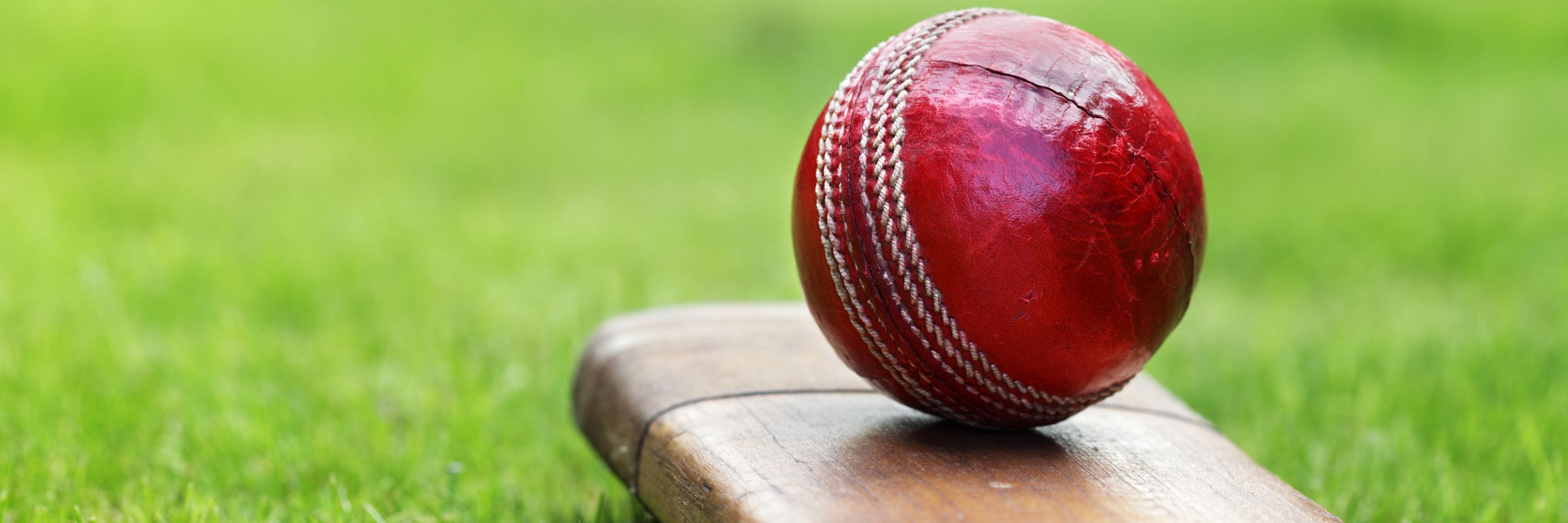 Leichhardt Wanderers Cricket Club