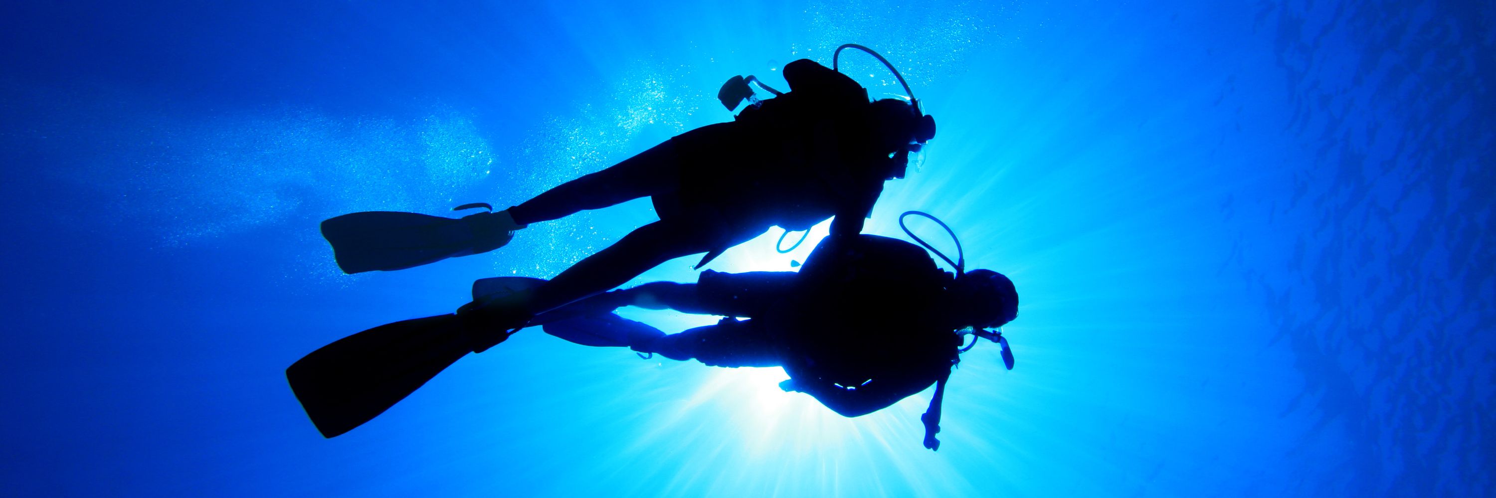 Open Water Diving Course Coogee