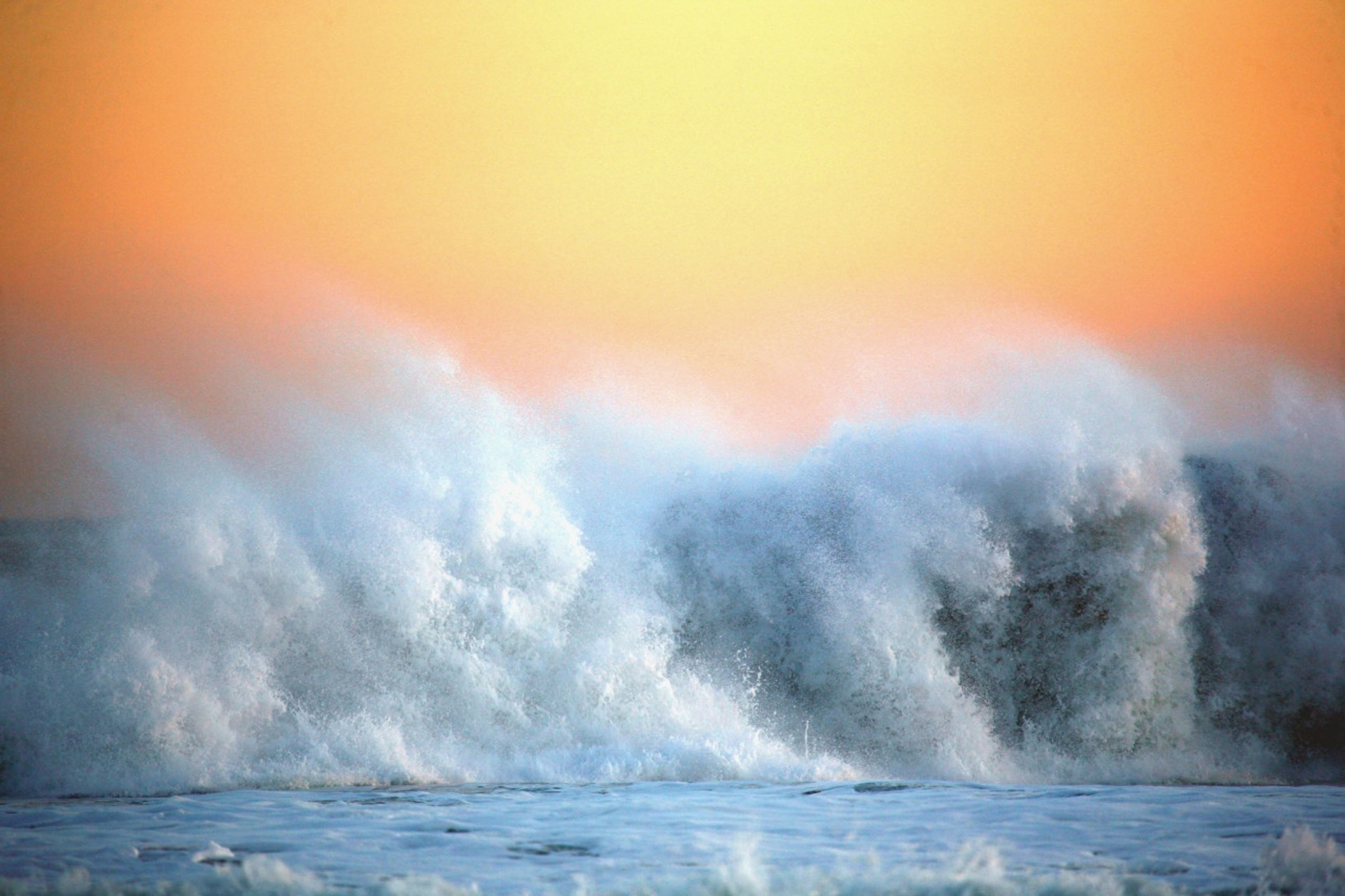Surf Dudes - Surfing Membership Site