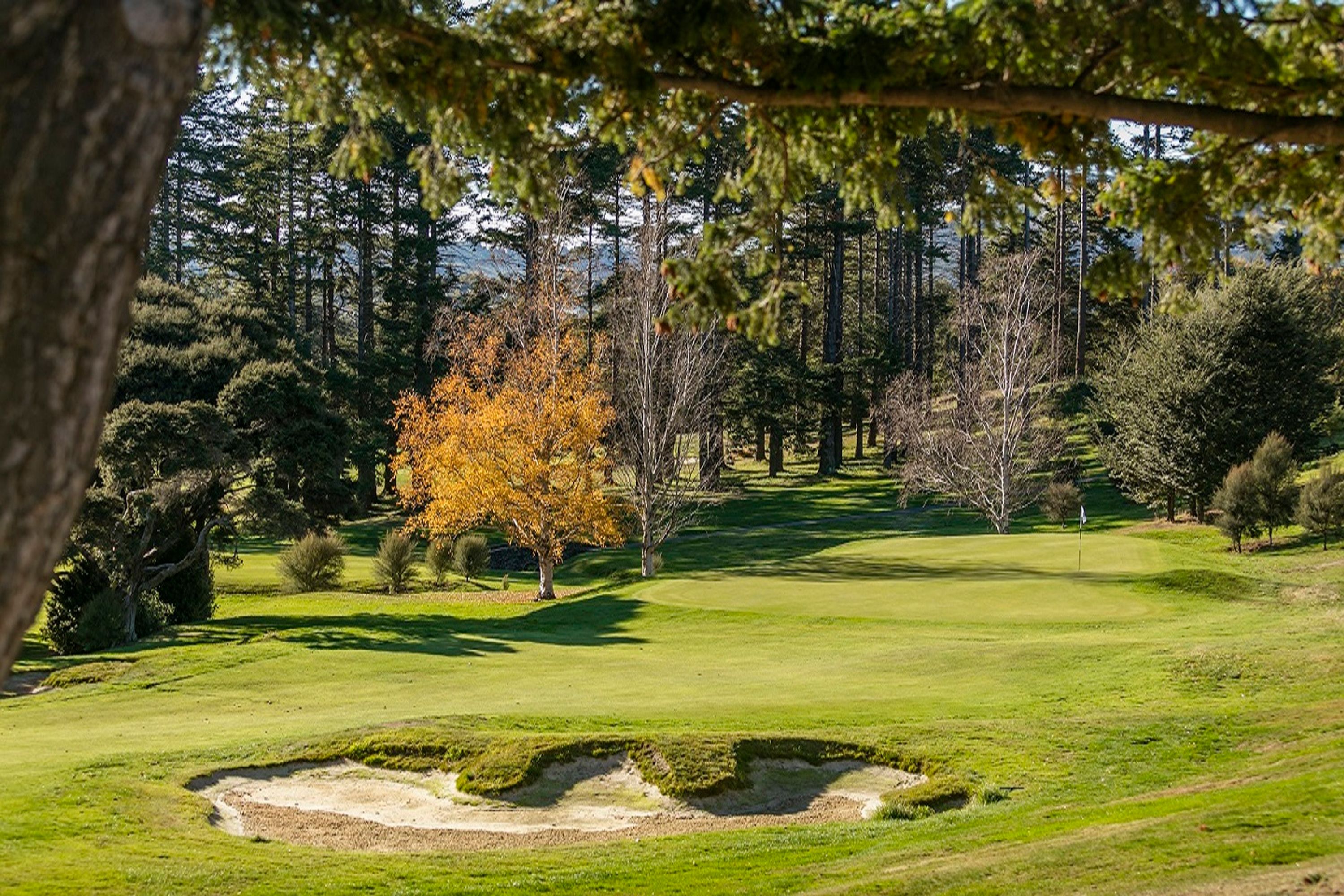 Otago Golf Club