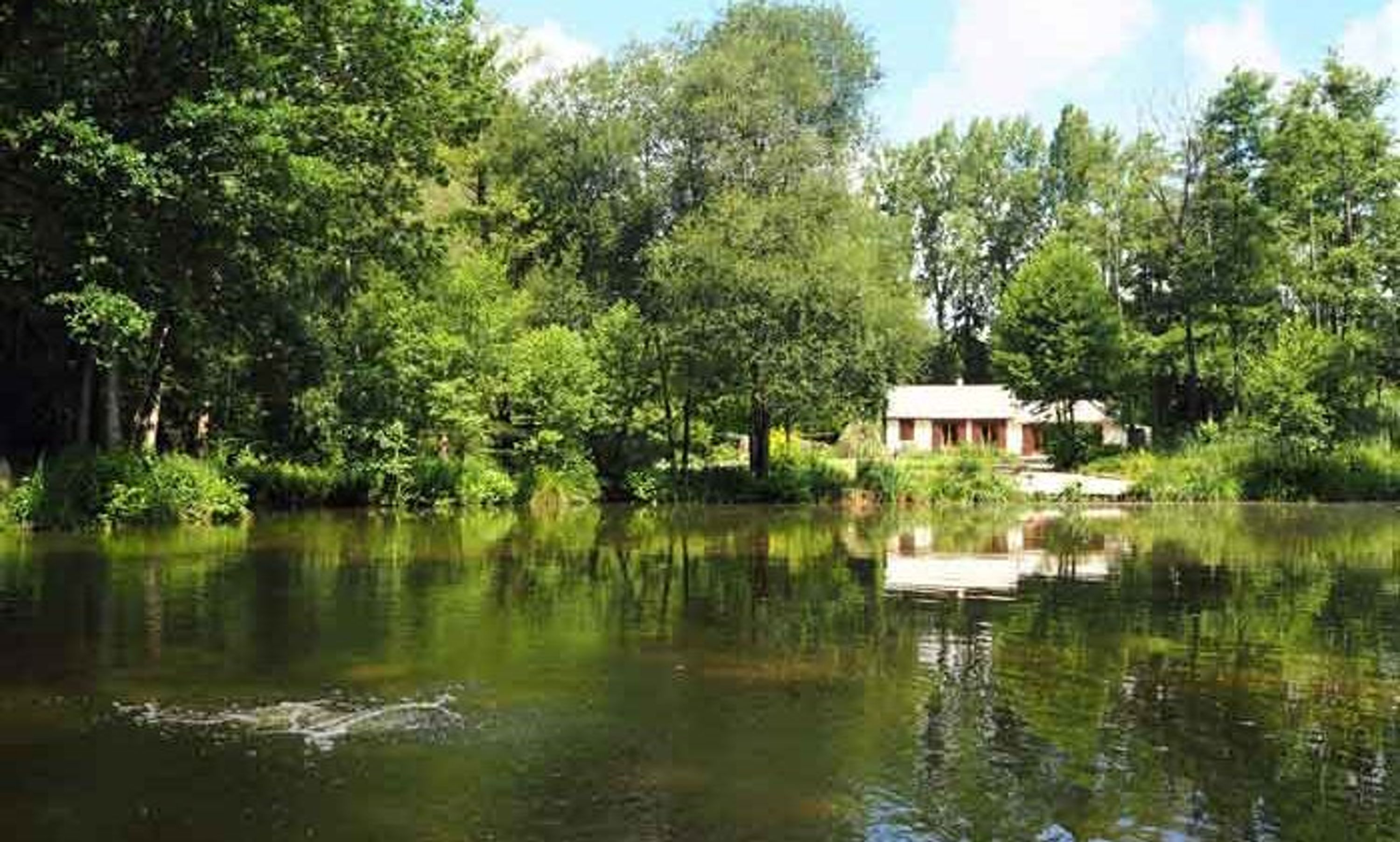 Beausoleil Carp and Cats