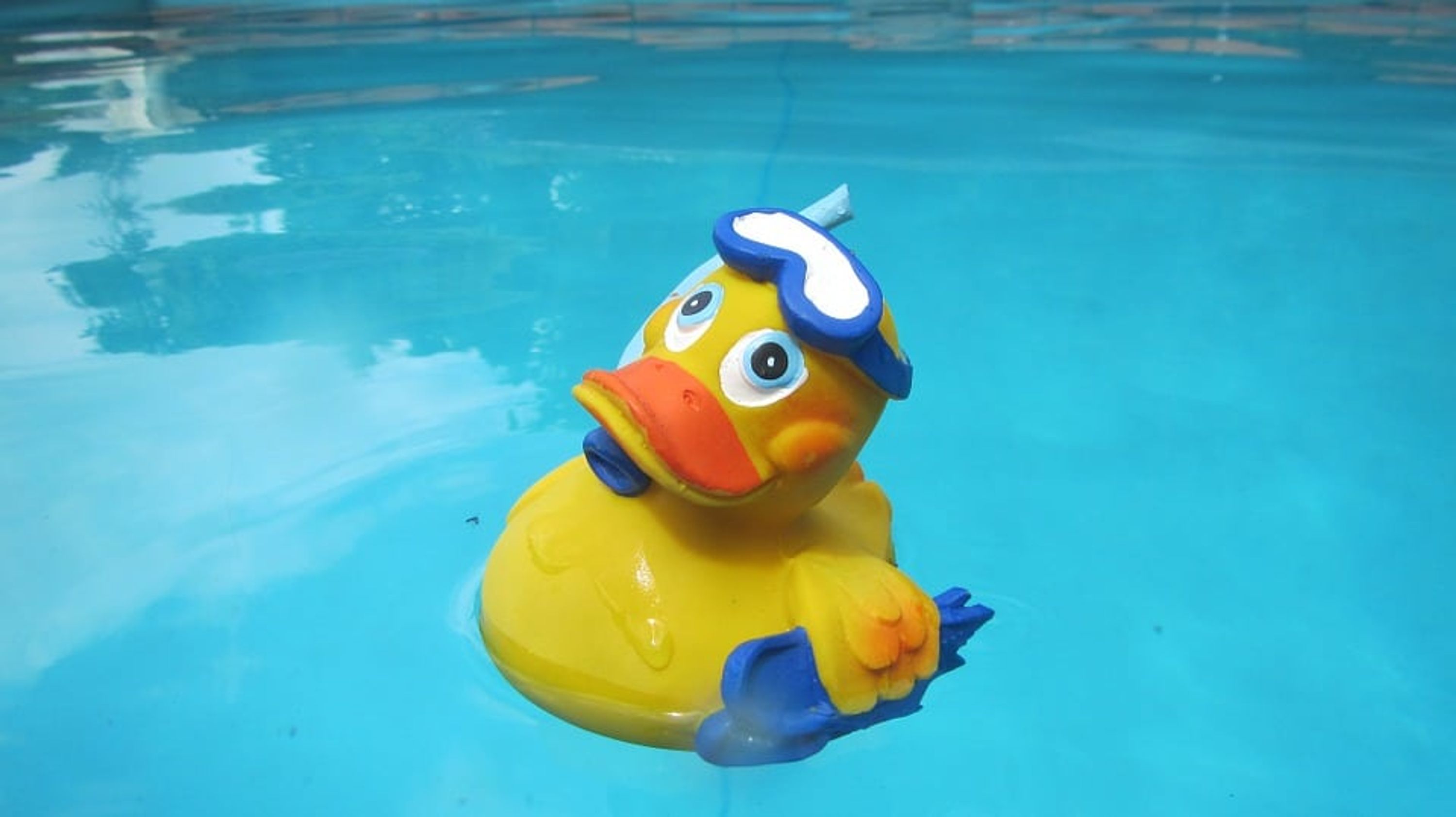 Municipal Pool