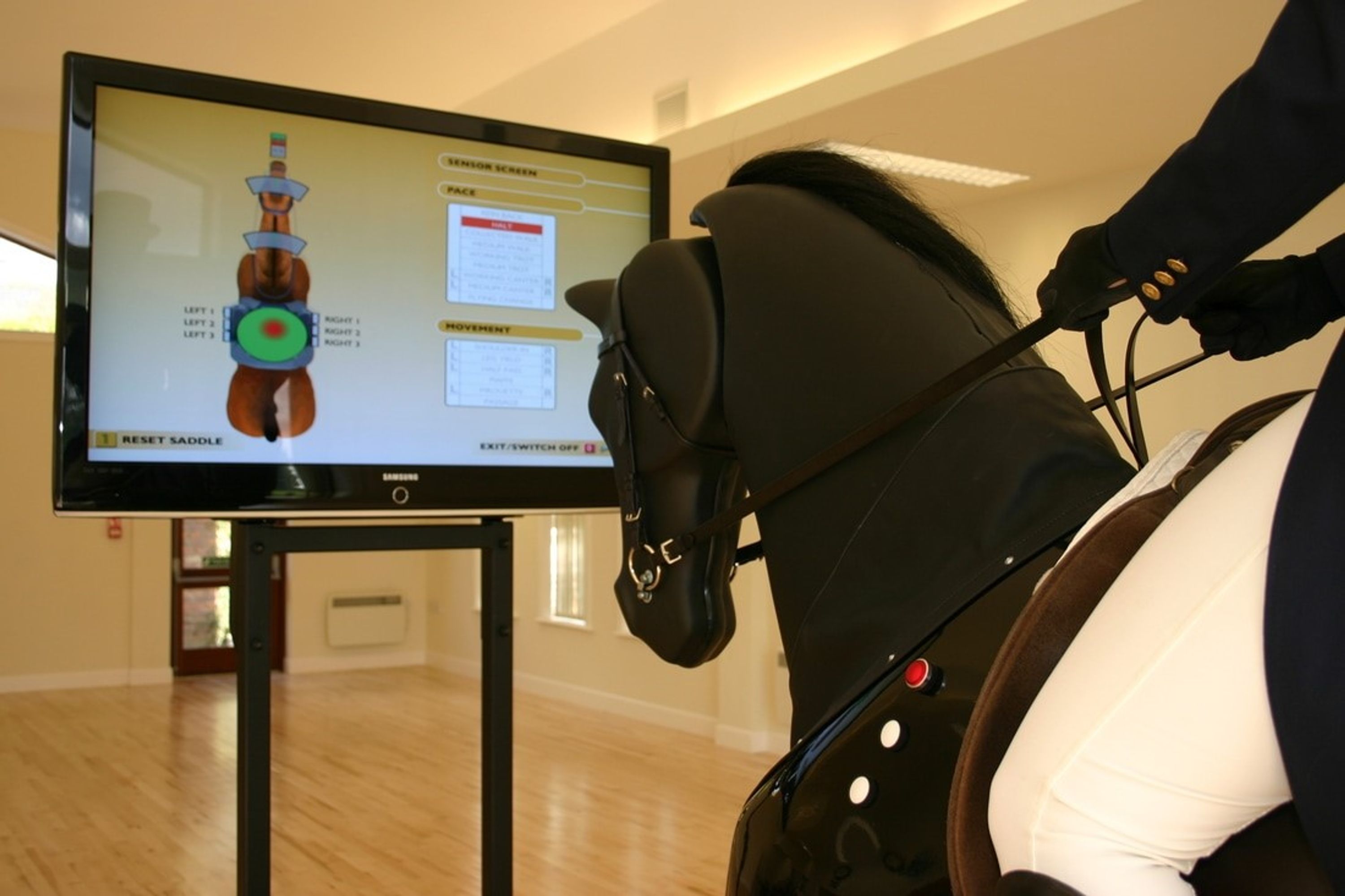 Park Riding Centre Riding Lessons