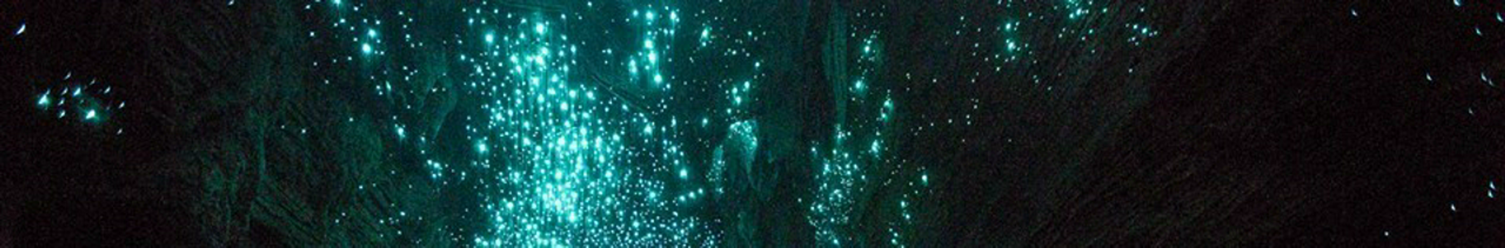 Kiwi Cave Rafting - Black Water Rafting - Waitomo
