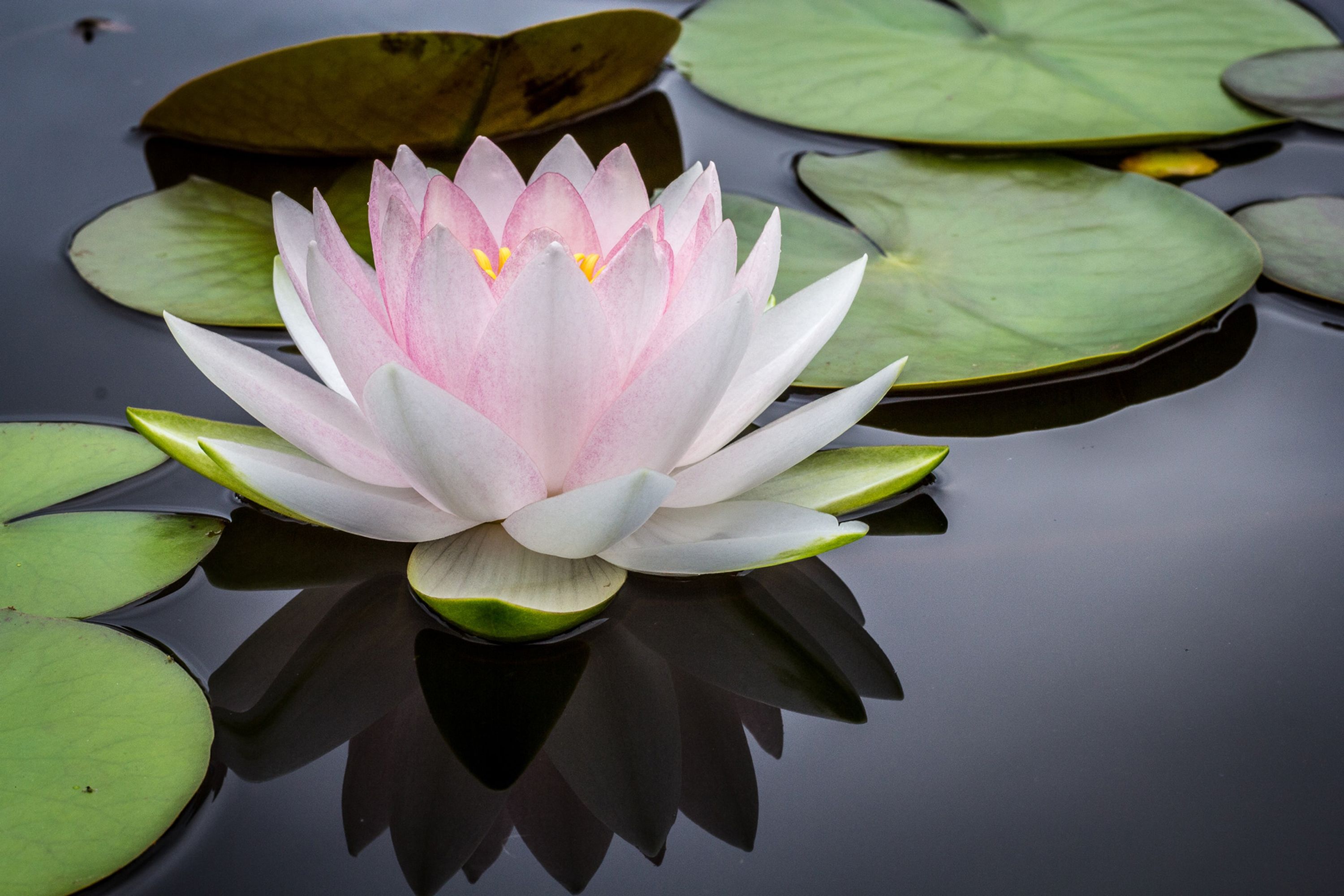 Ananda Yoga Rodez