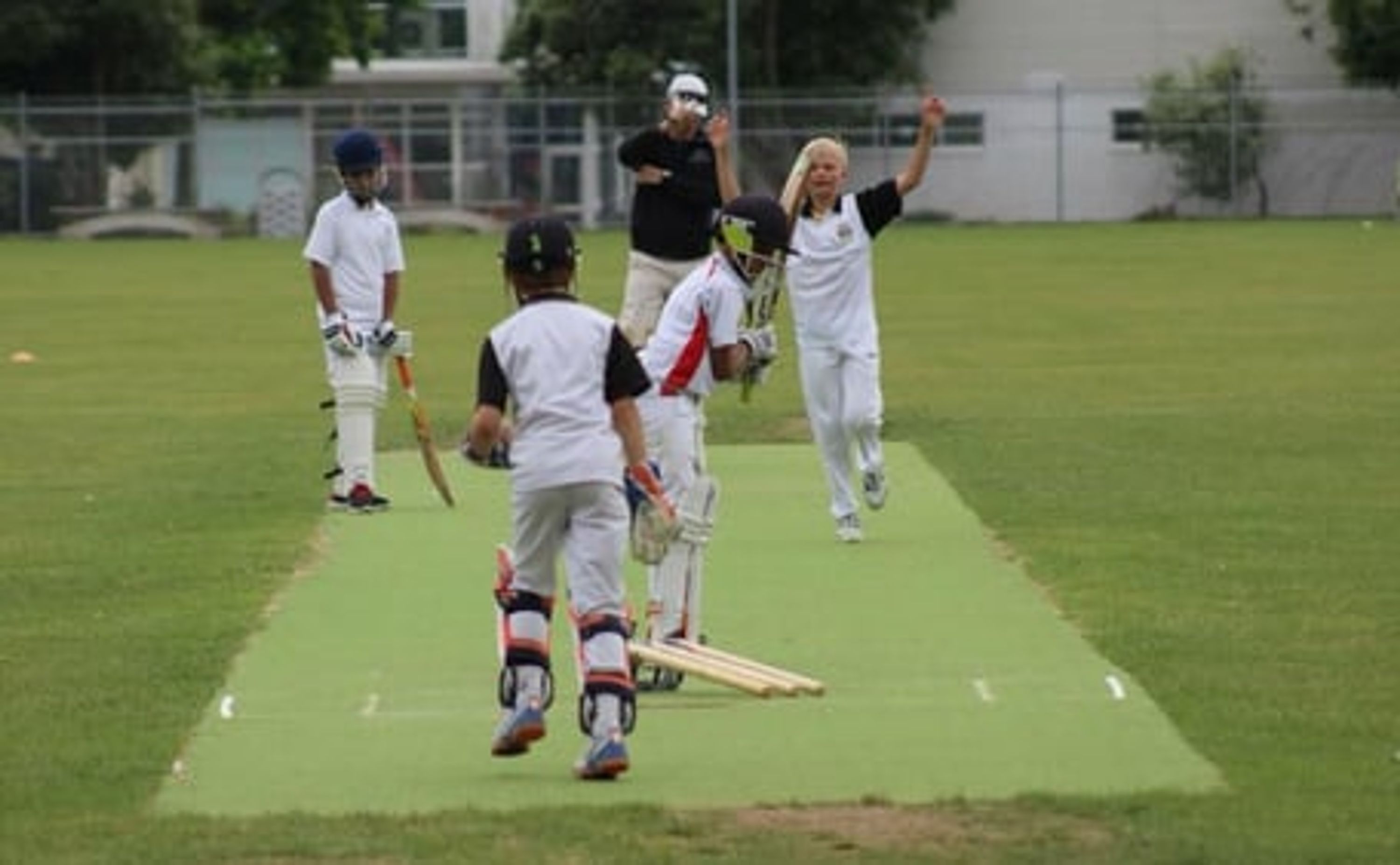 Grafton Juniors Cricket Season for Years 1 to 4