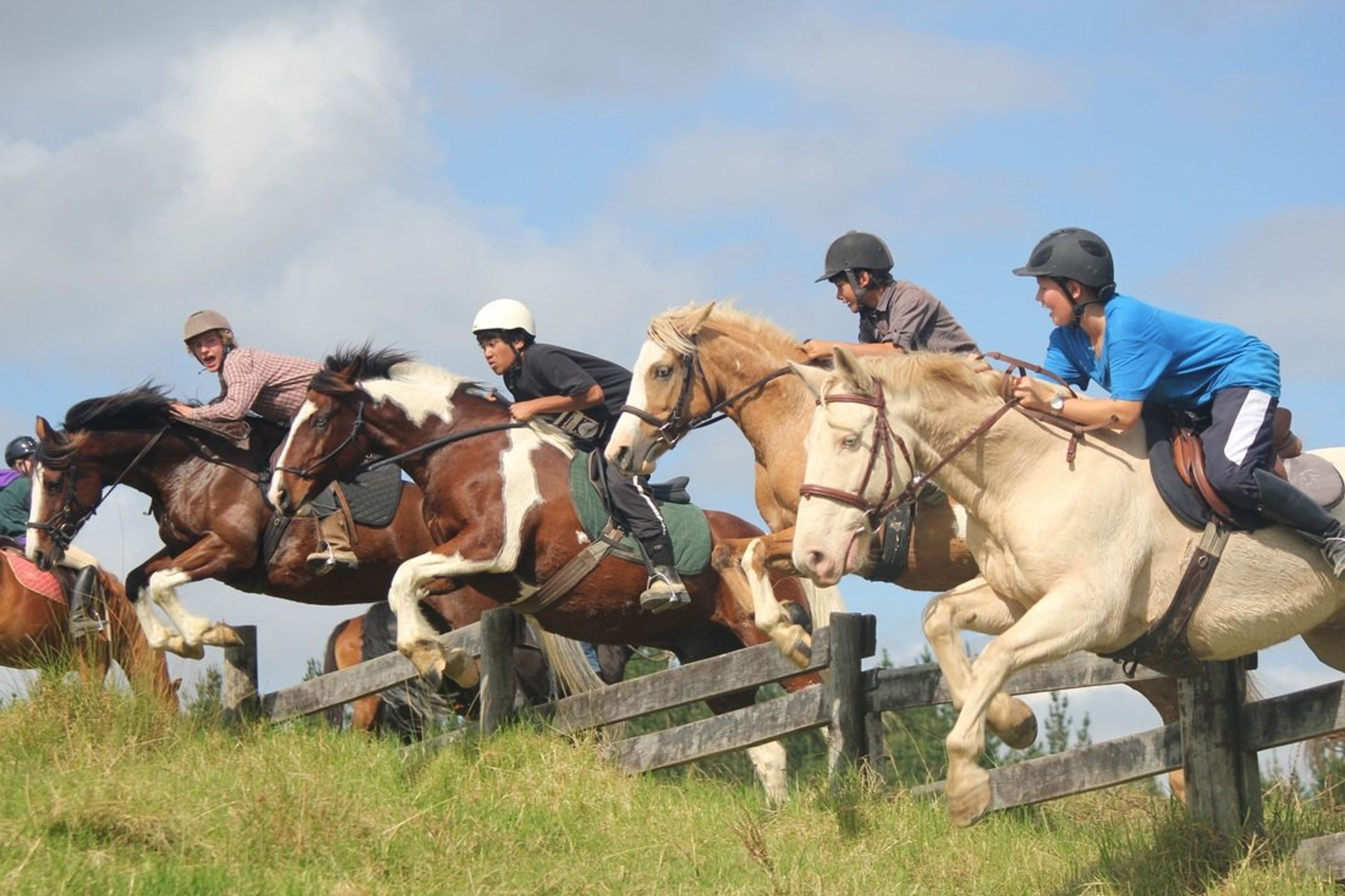 Pony Camps