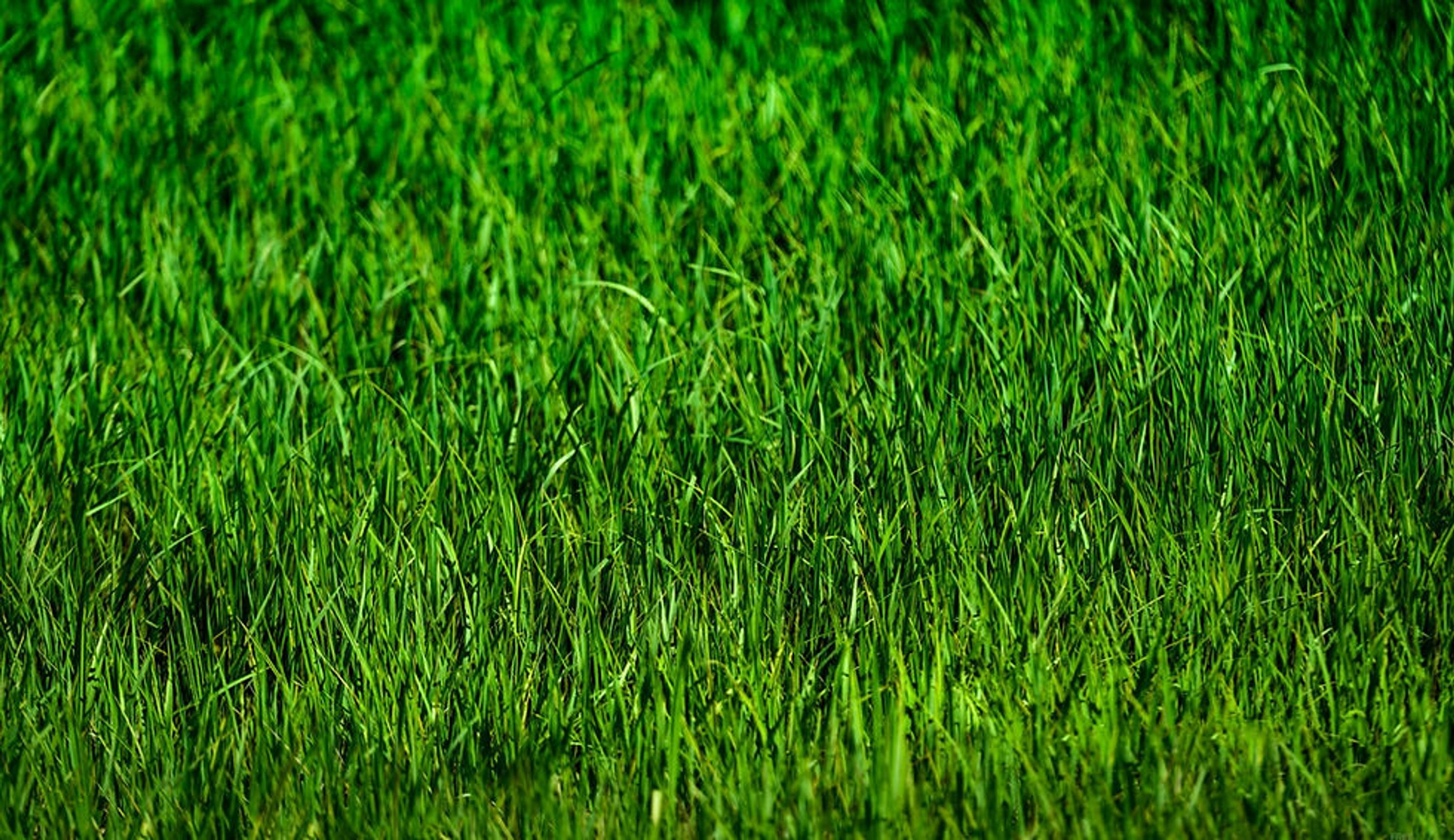 Waterside Karori Assocation Football Club