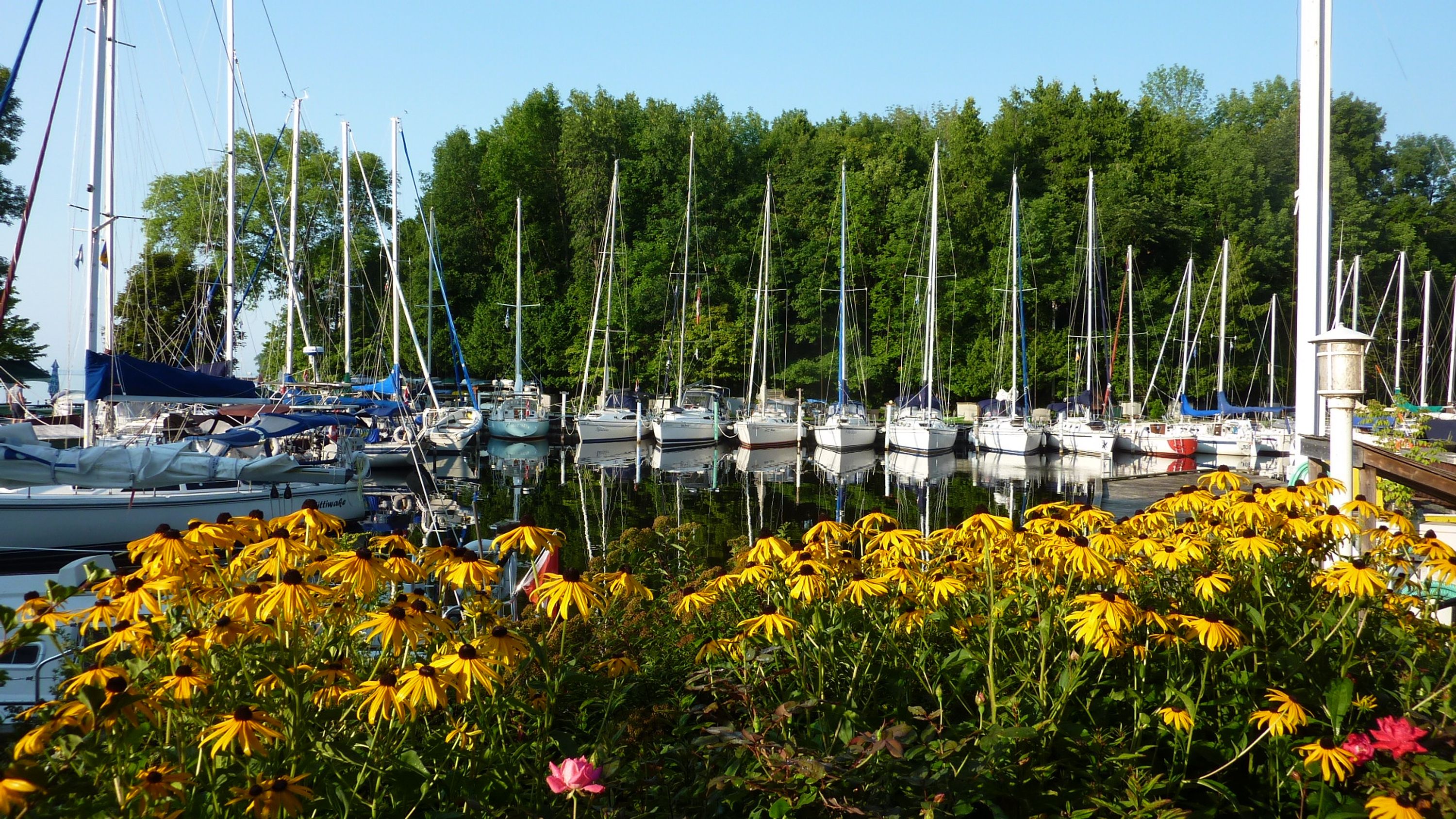 hawkestone yacht club ontario