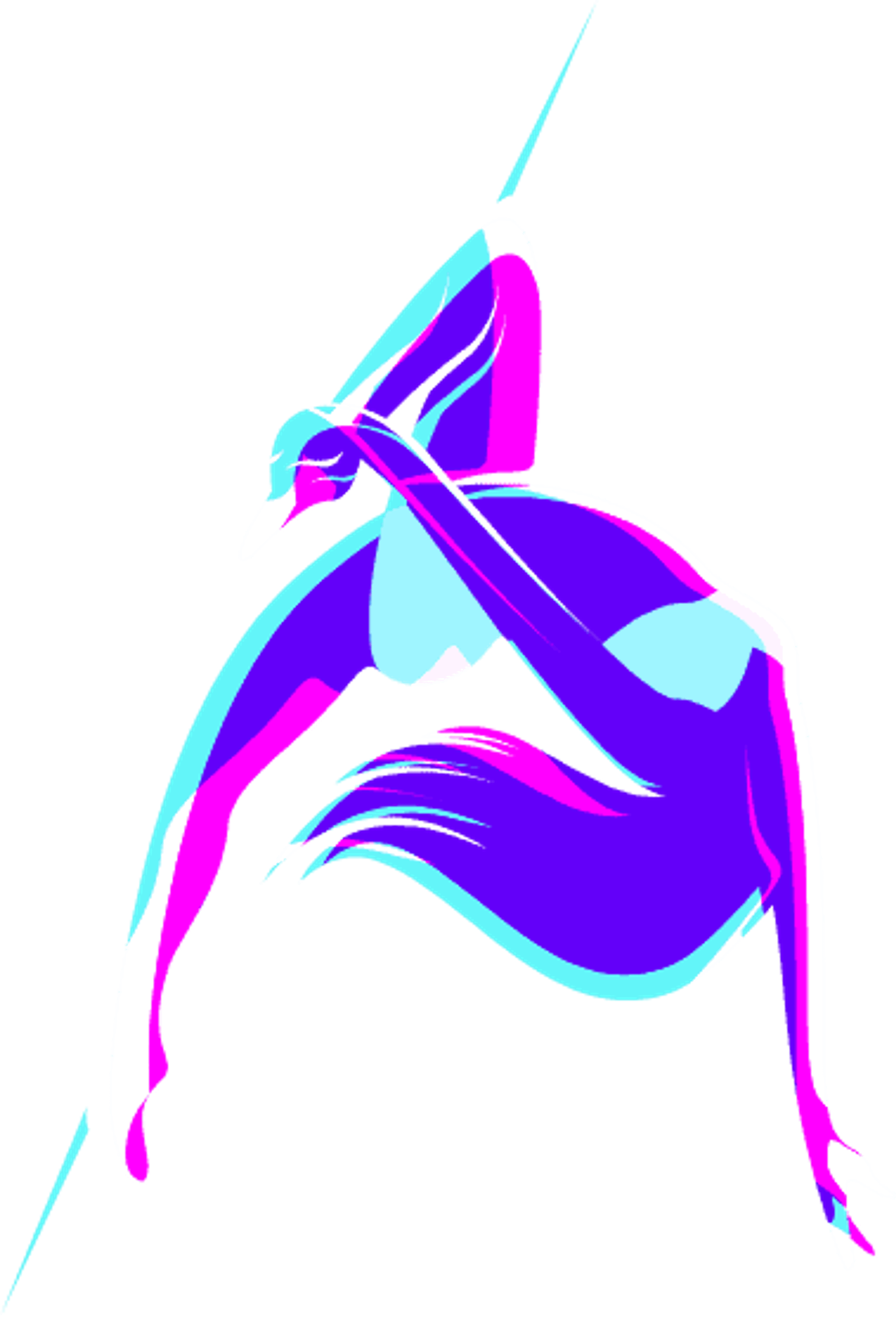 Vertical Barre