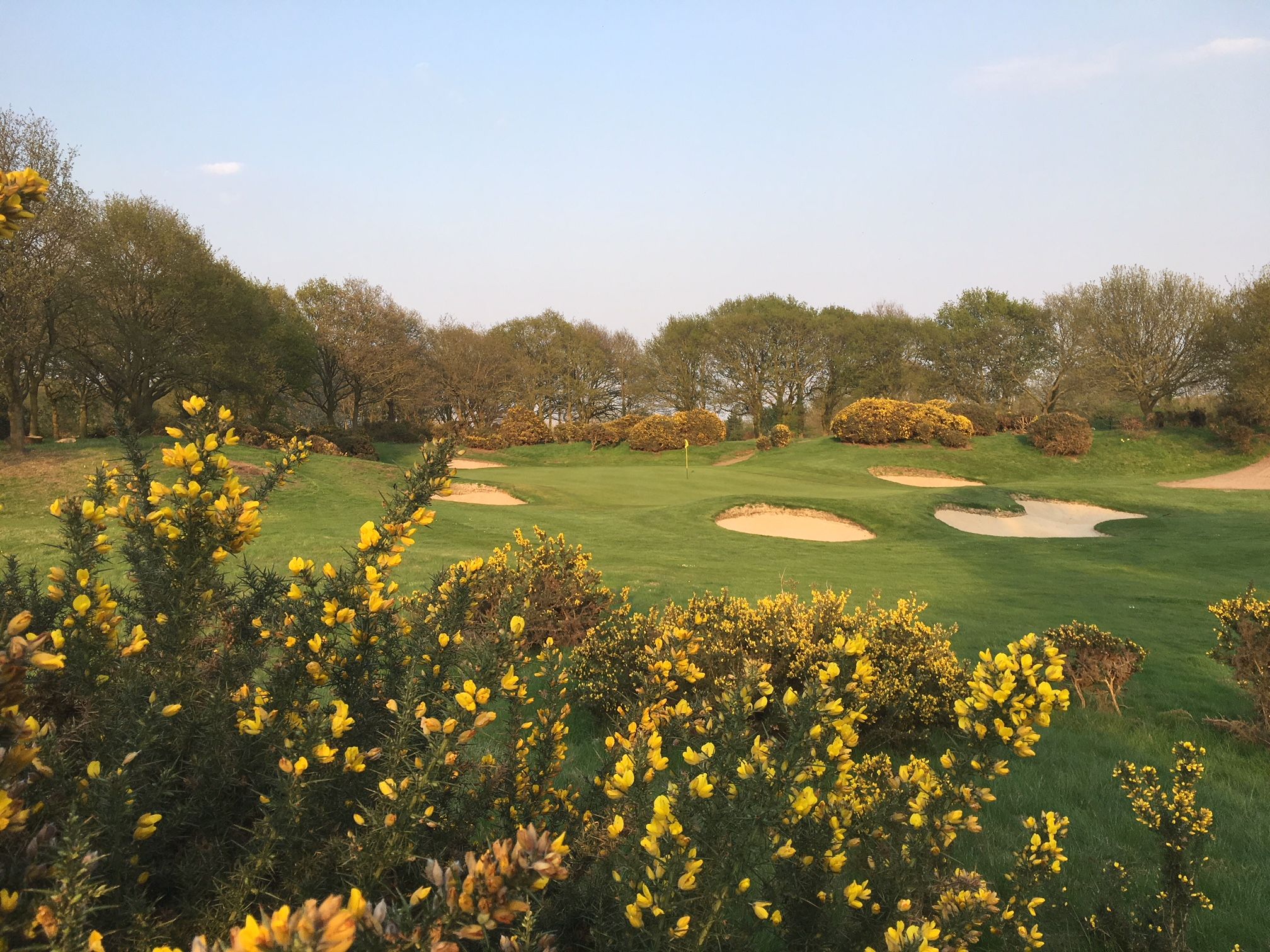 Vets Open/Over 55’s