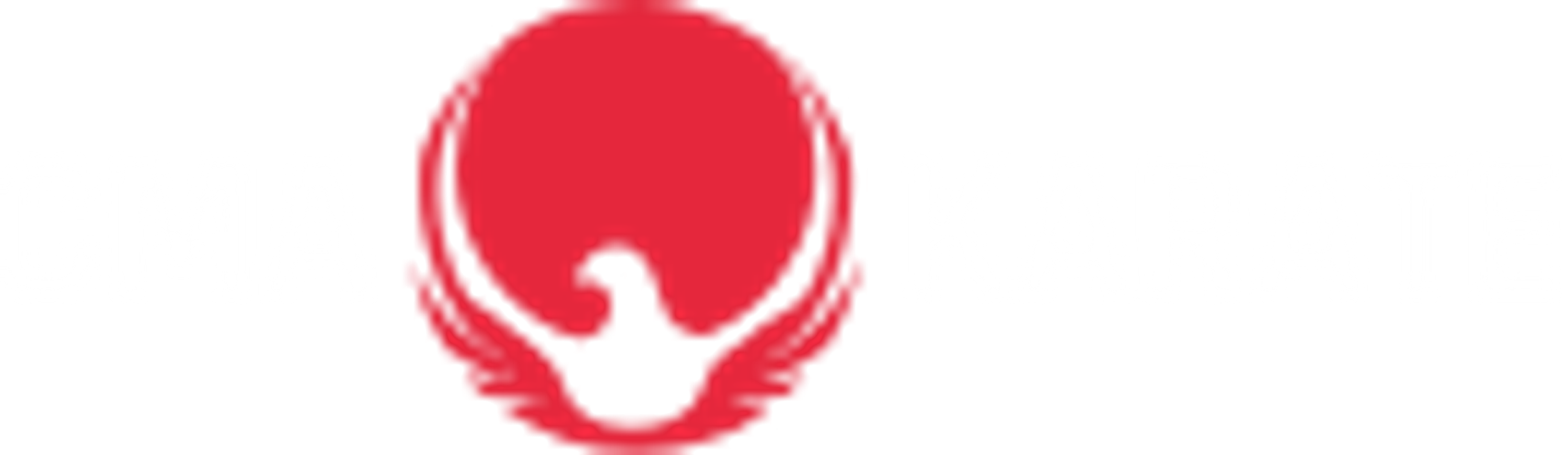 Karate Courses - Sparring, Pairs and Self Defence