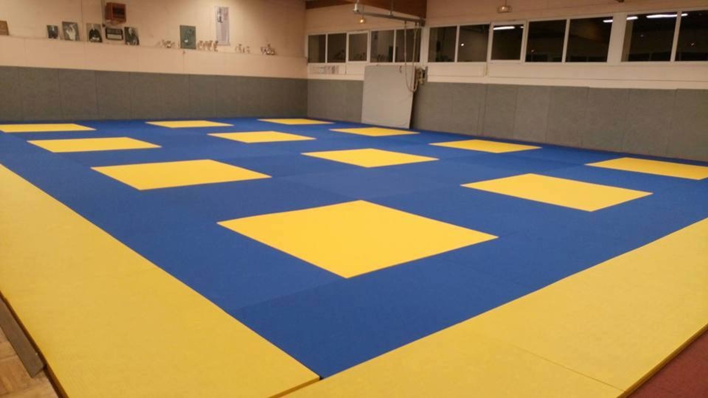 Alliance Judo 54