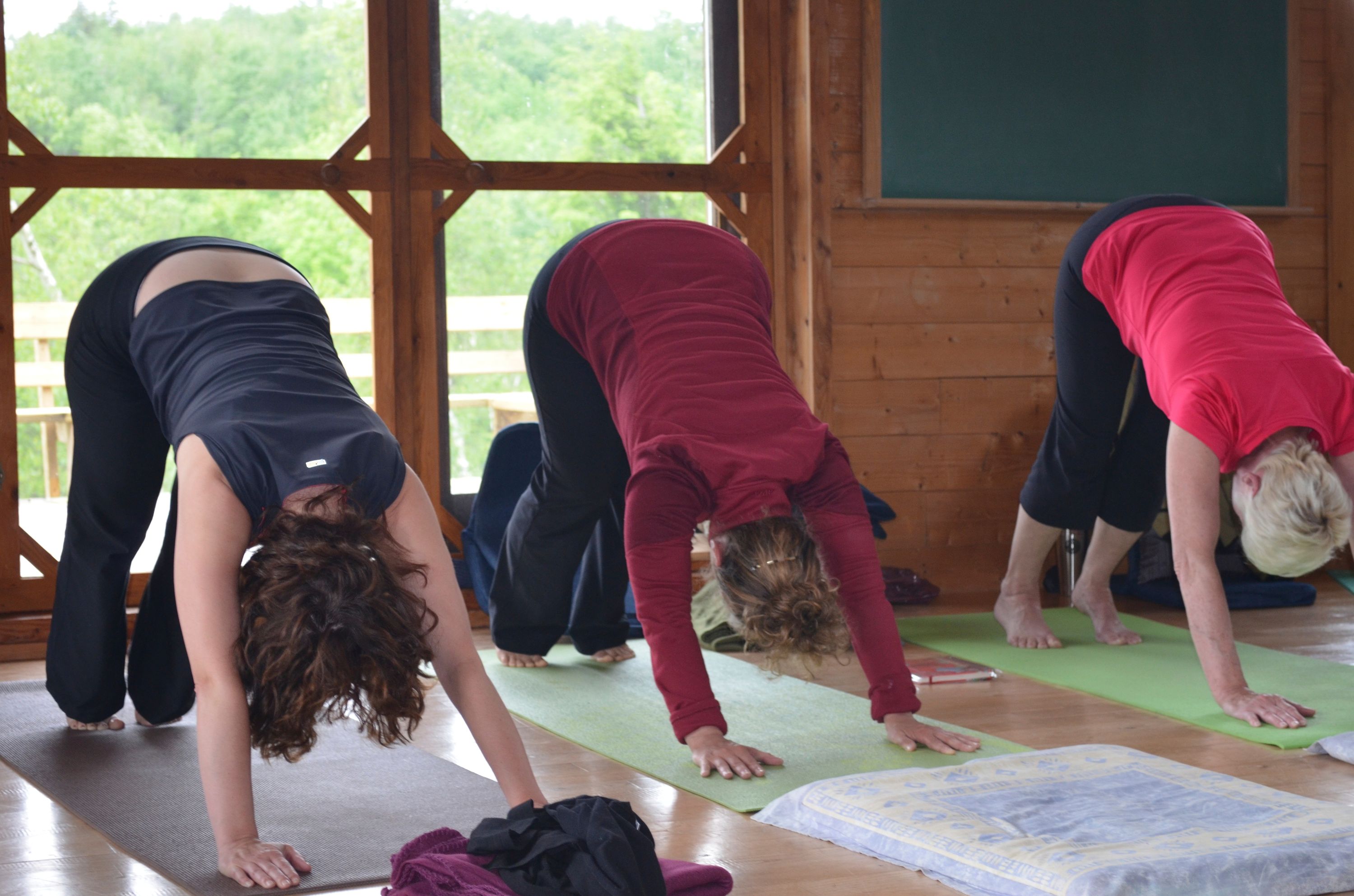 VIVA YOGA