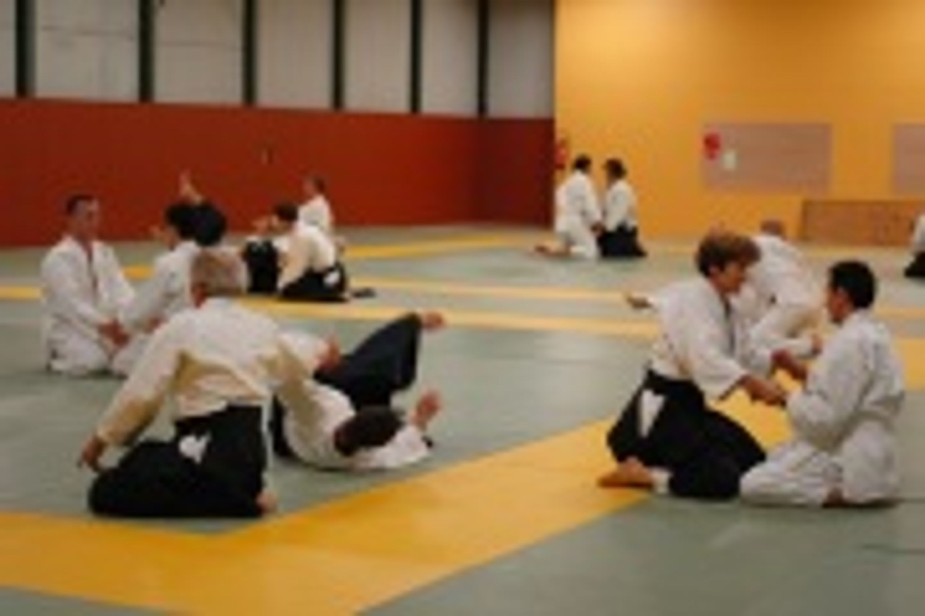 Aikido Club Du Champ Fleuri