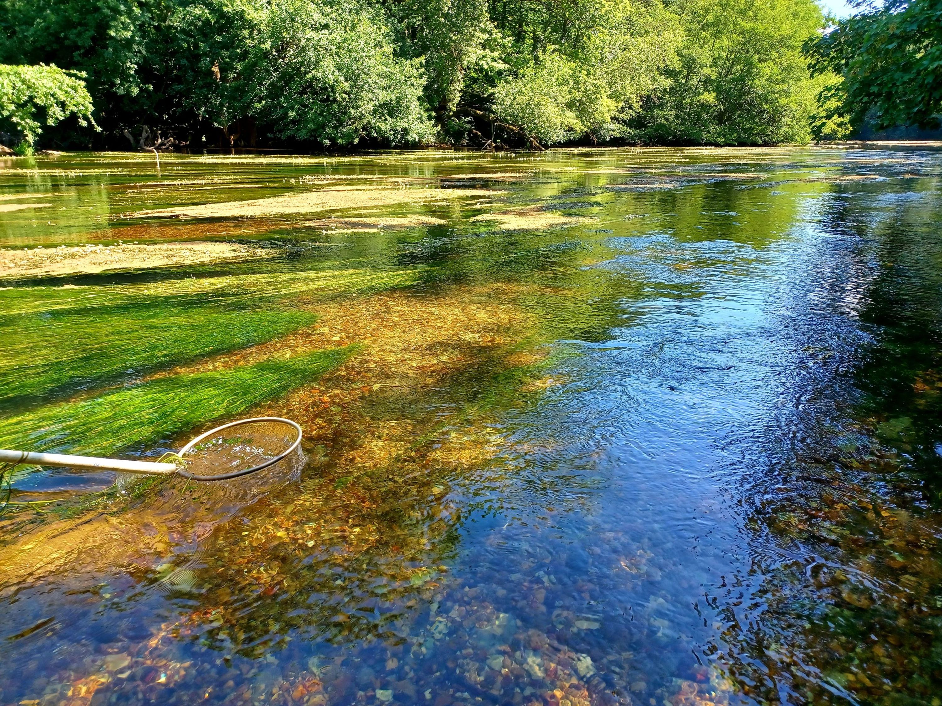 Fédération de Pêche du Loiret