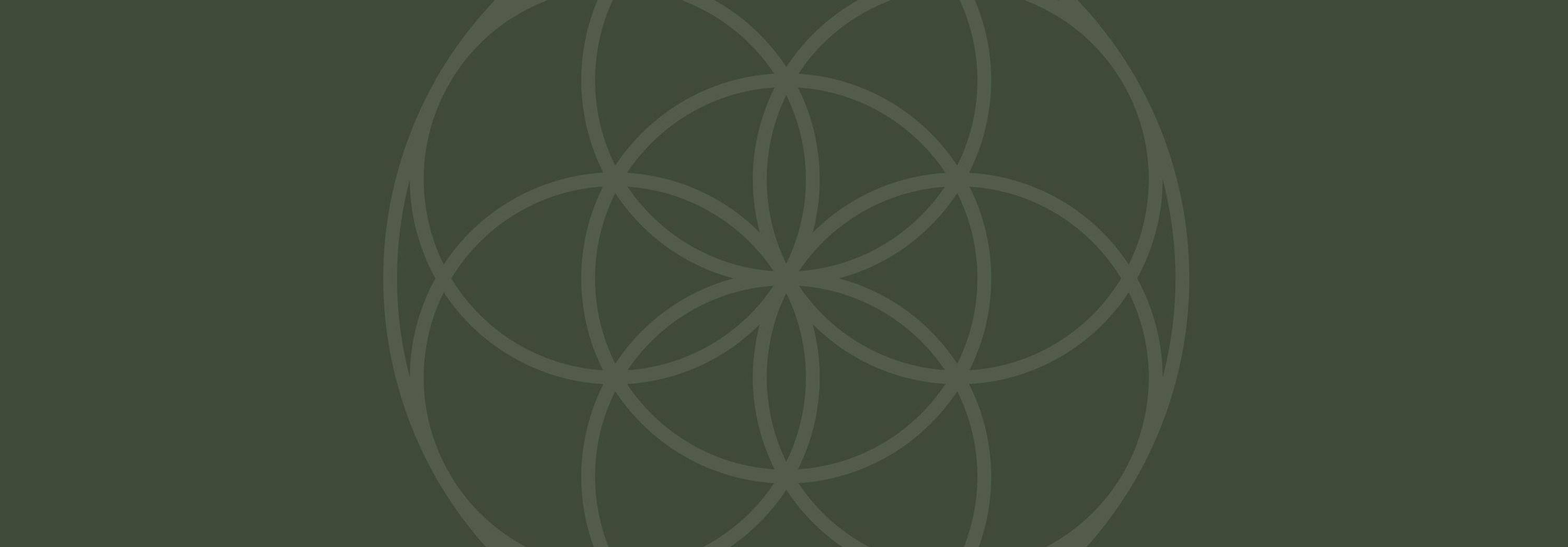 Corporate Coaching Mindfulness Meditation Coaching Programs