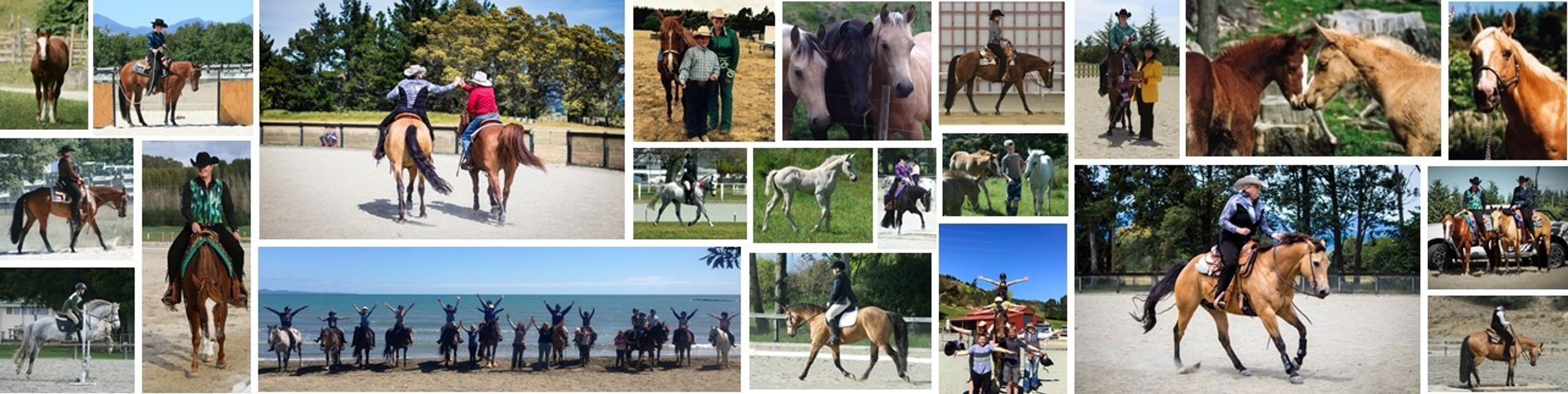 Golden Hills Equestrian Centre