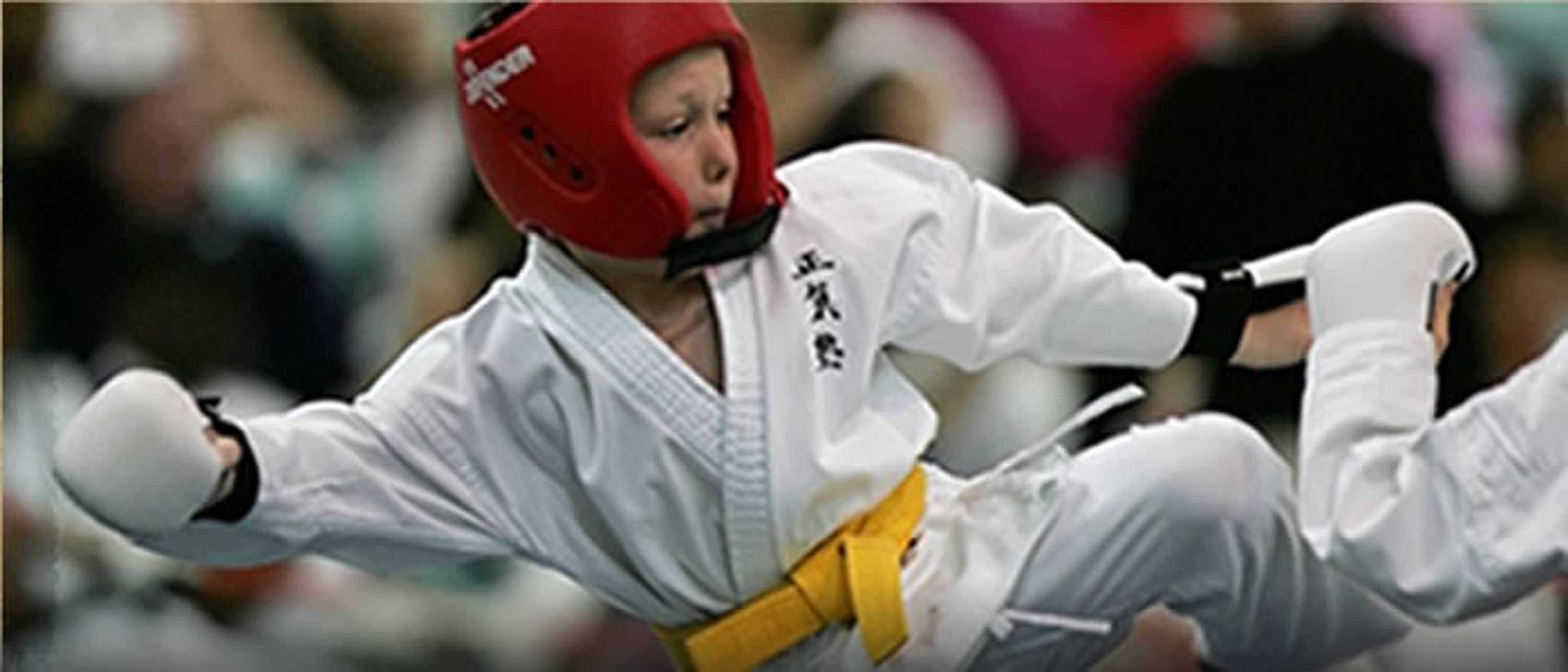 United Kingdom Seiki-Juku Karate Organisation