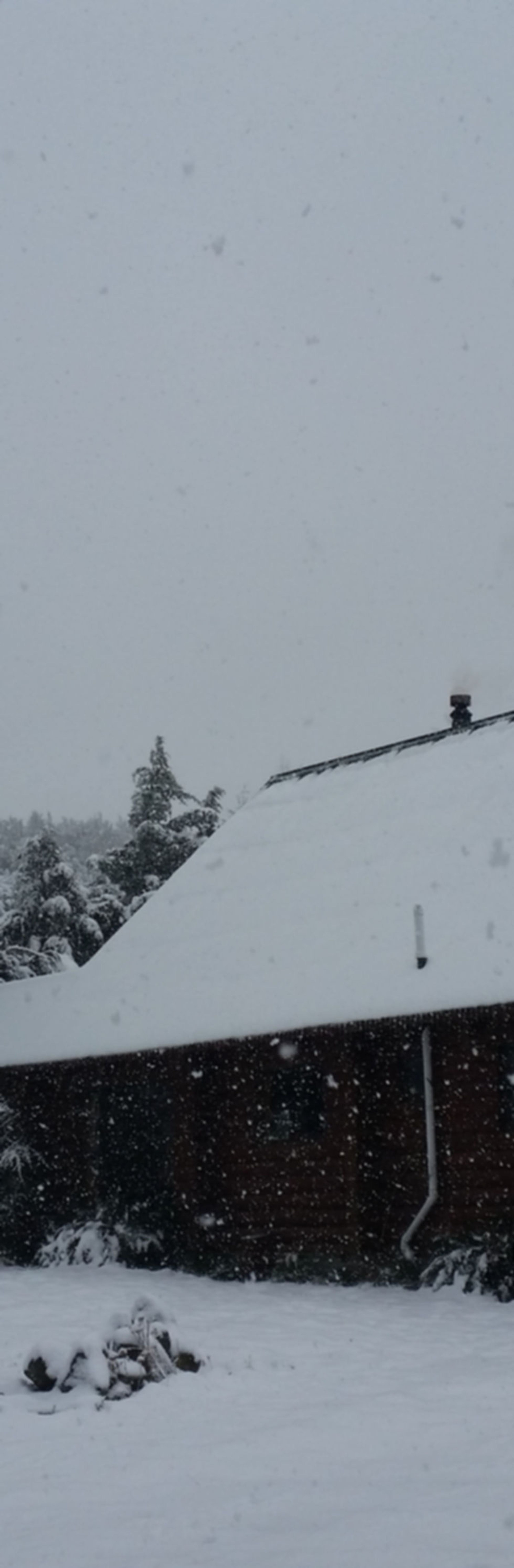 Mt Lyford Alpine Resort