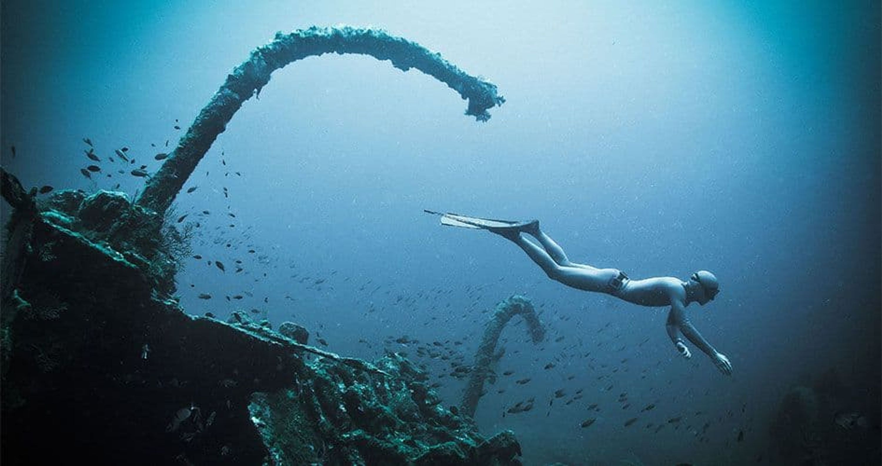 Scuba Diver Marseille Débutant (sans diplôme) Plongée Padi