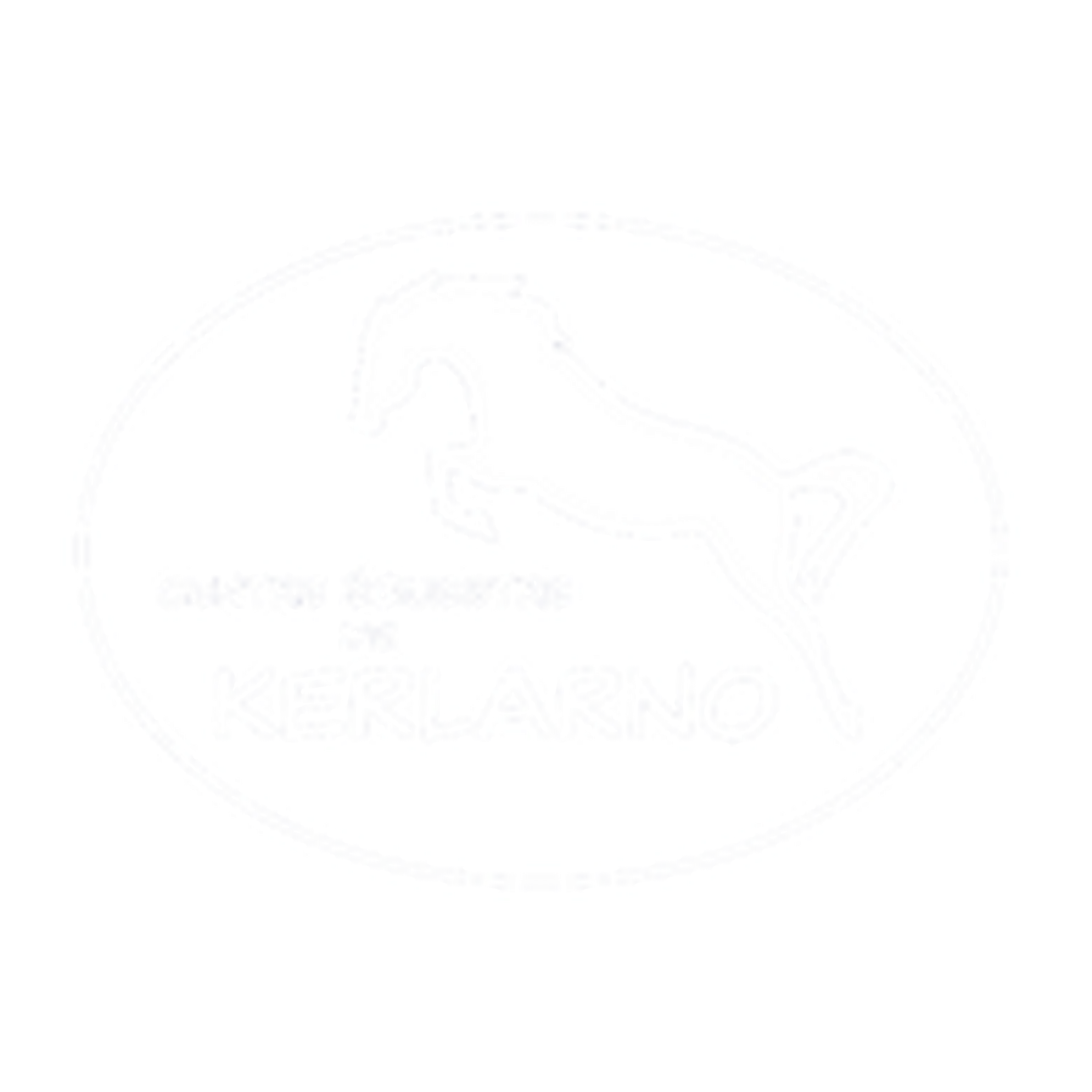 CENTRE EQUESTRE DE KERLARNO