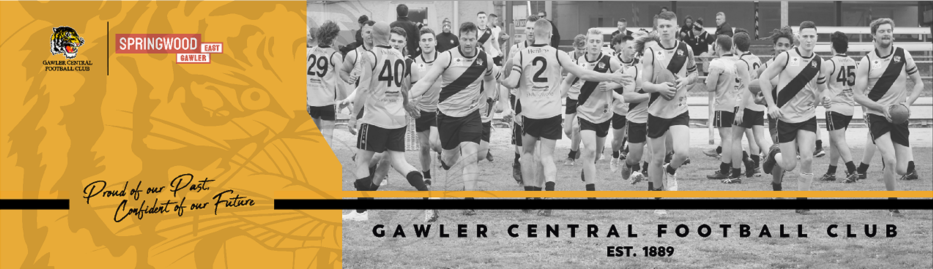 Amateur Football Game: Round 10 v Freeling