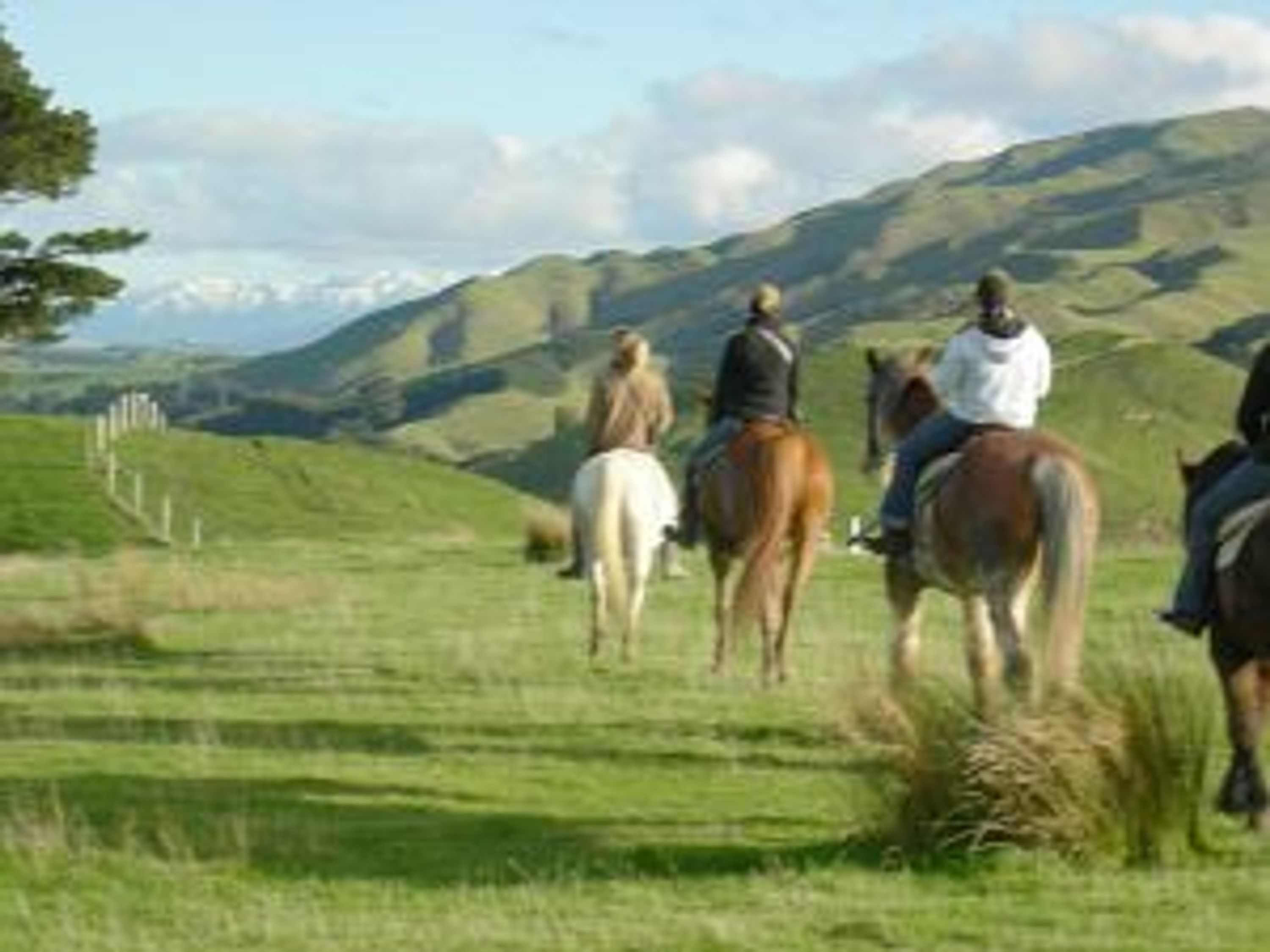 Timeless Horse Treks