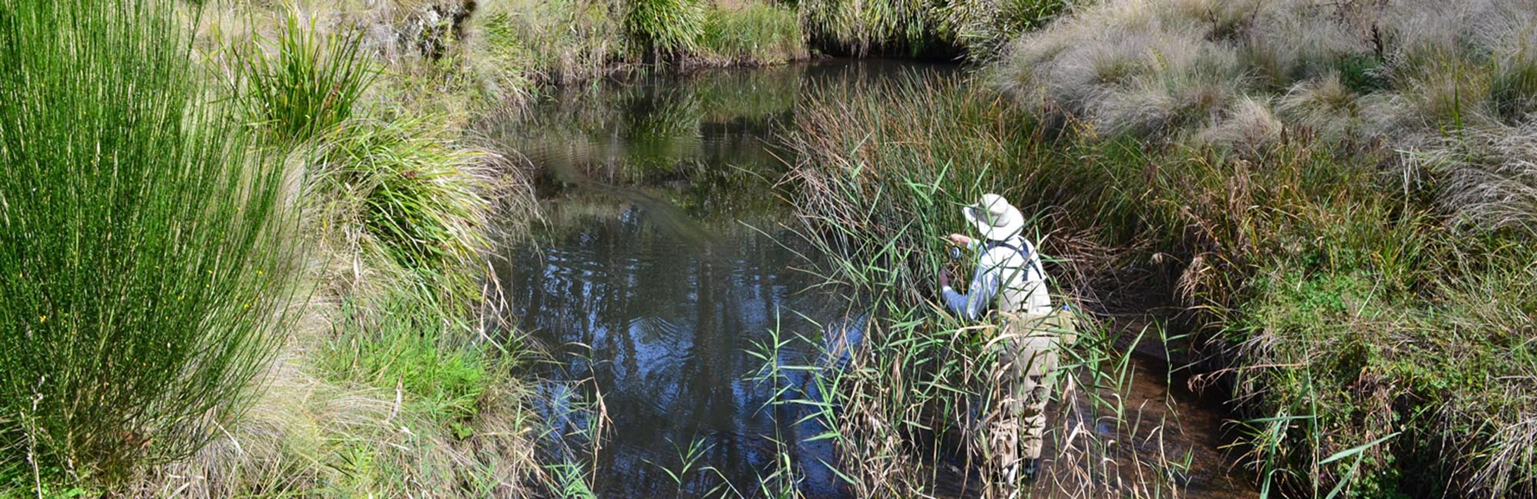 Hunter Valley Fly Fishing Club